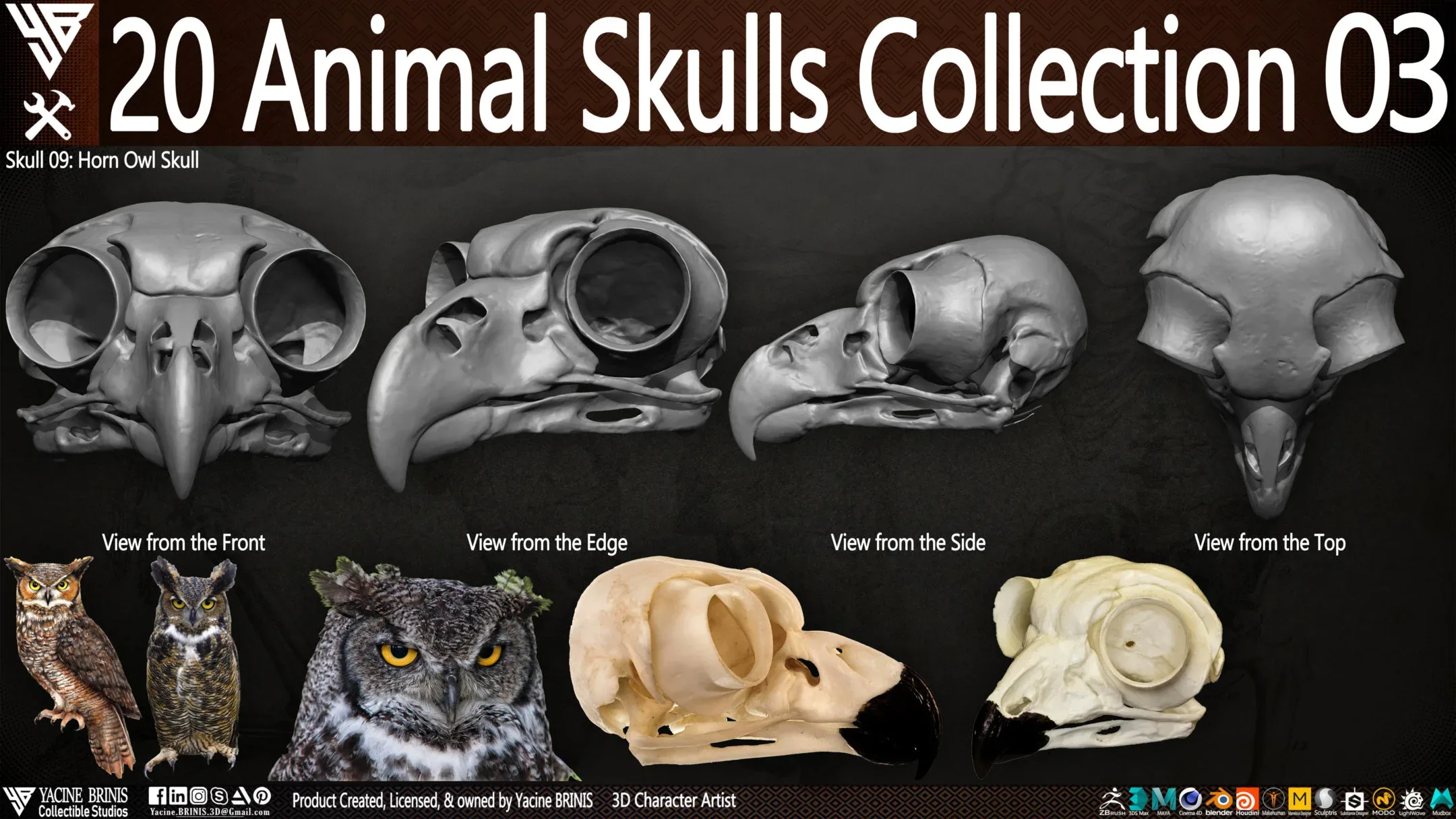 20 Animal Skulls Collection 03