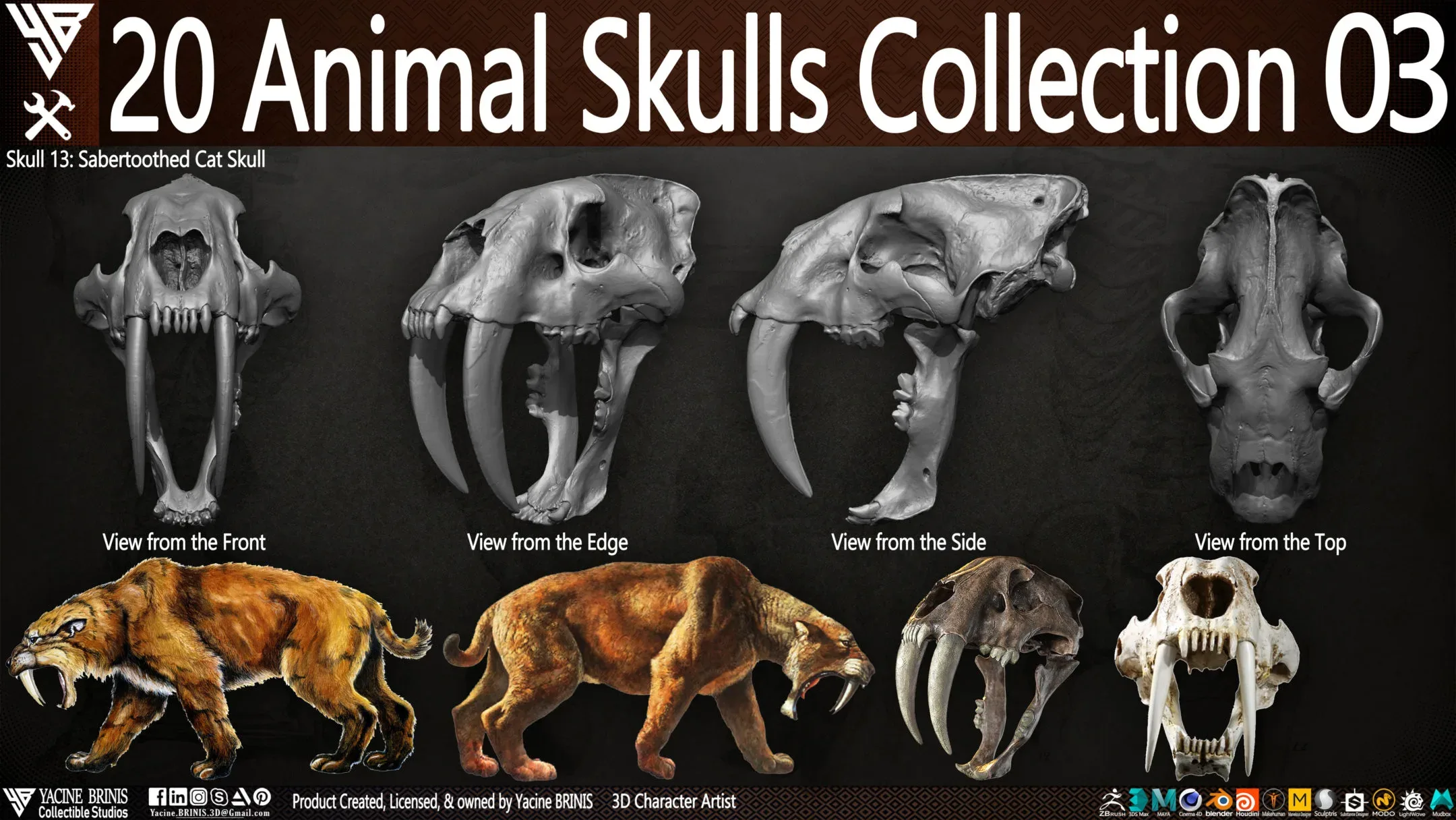 20 Animal Skulls Collection 03