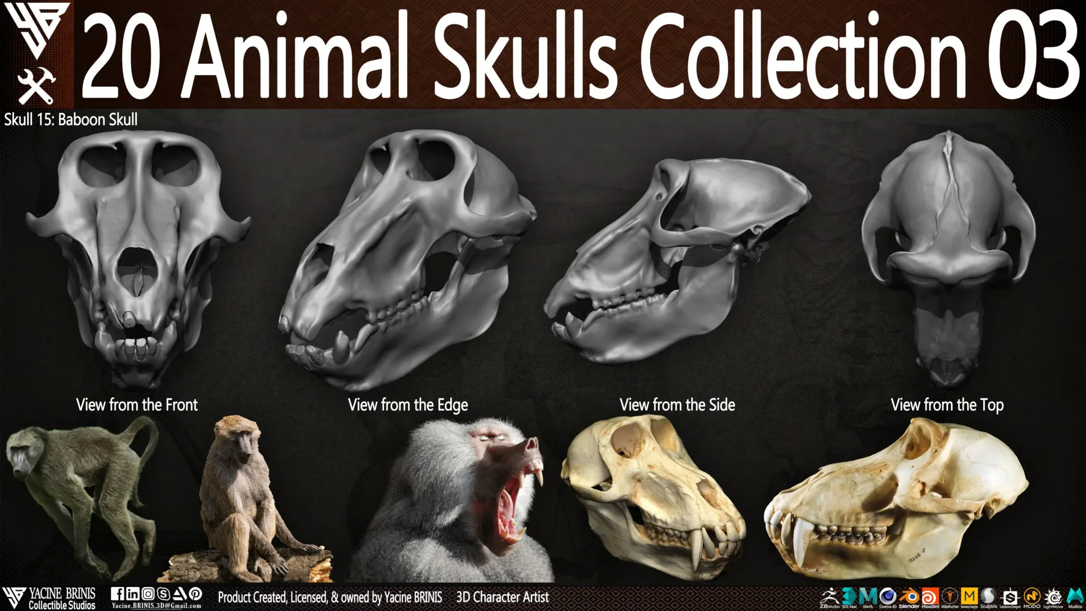 20 Animal Skulls Collection 03