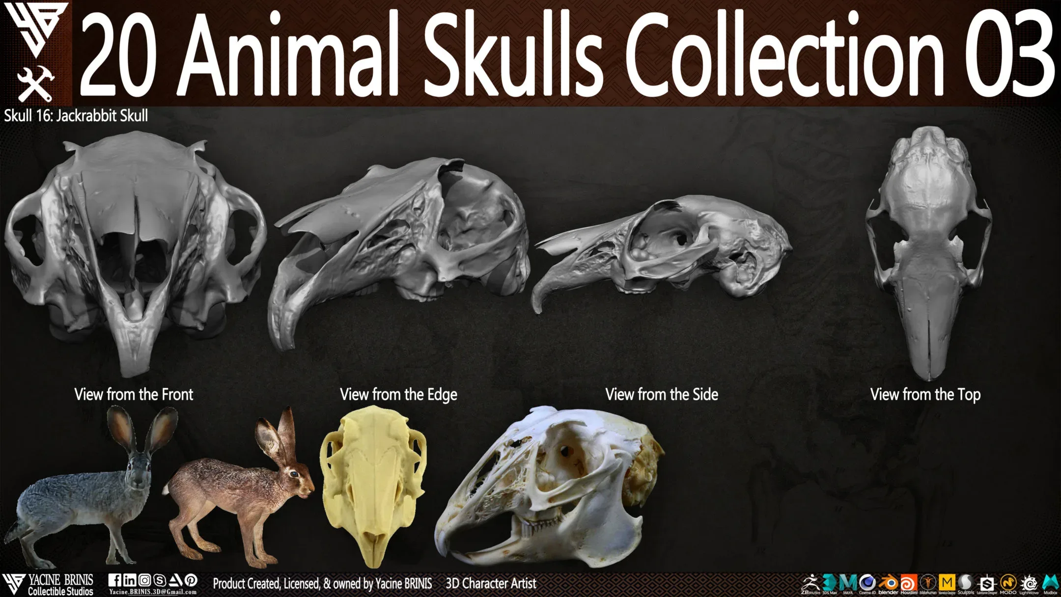 20 Animal Skulls Collection 03