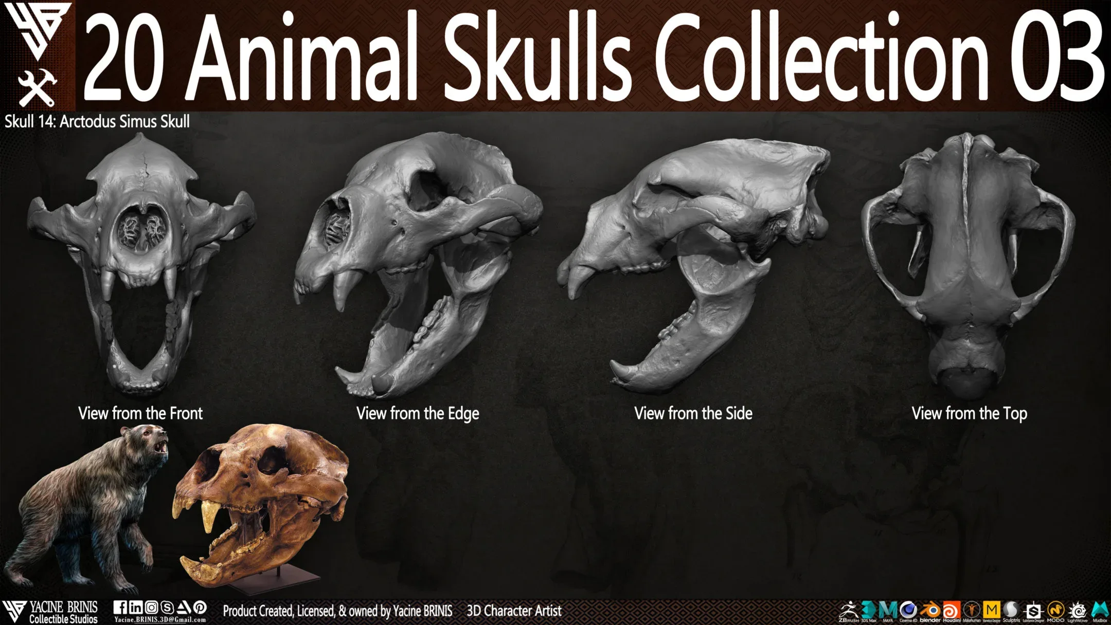 20 Animal Skulls Collection 03