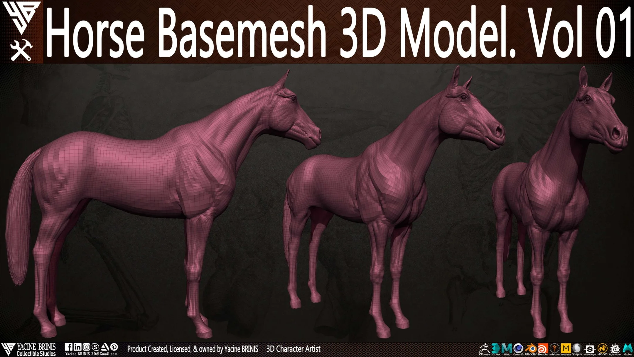 Horse Basemesh 3D Model. Vol 01