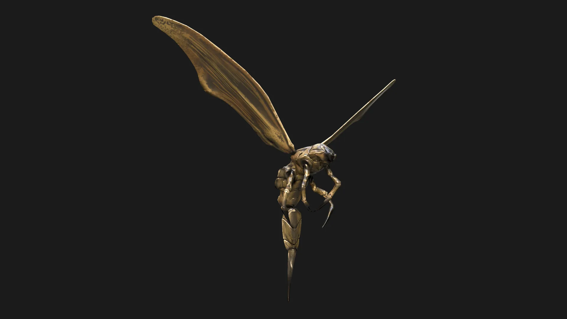 Small Angry Wasp