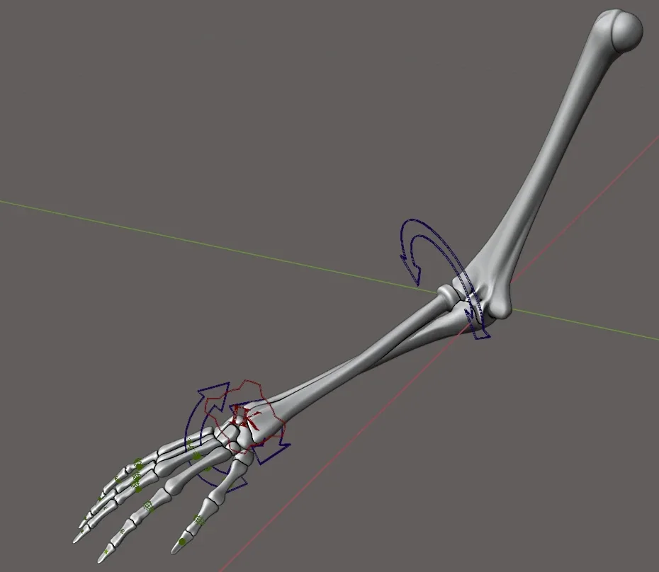 Rigged skeleton arm 1.0