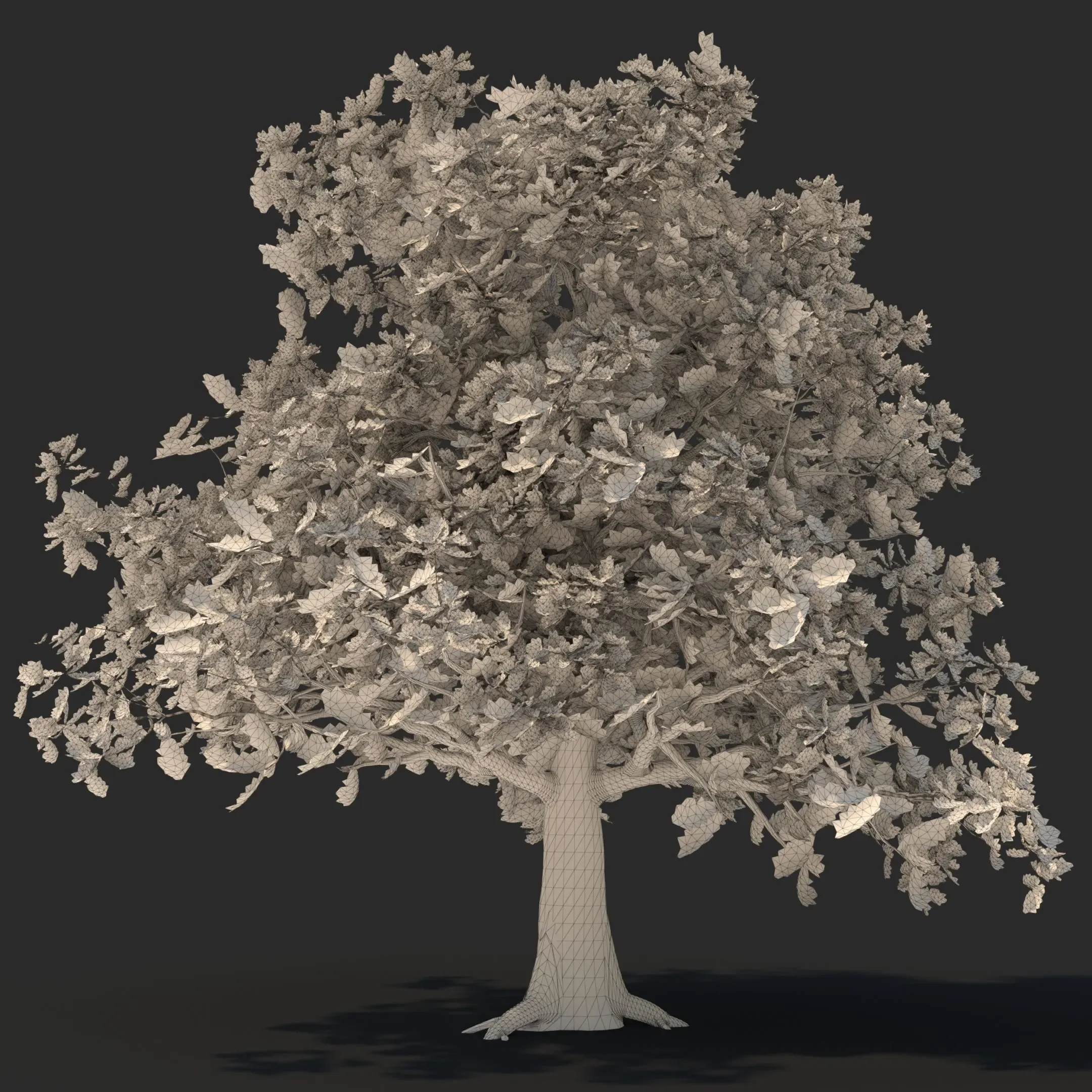 tree003