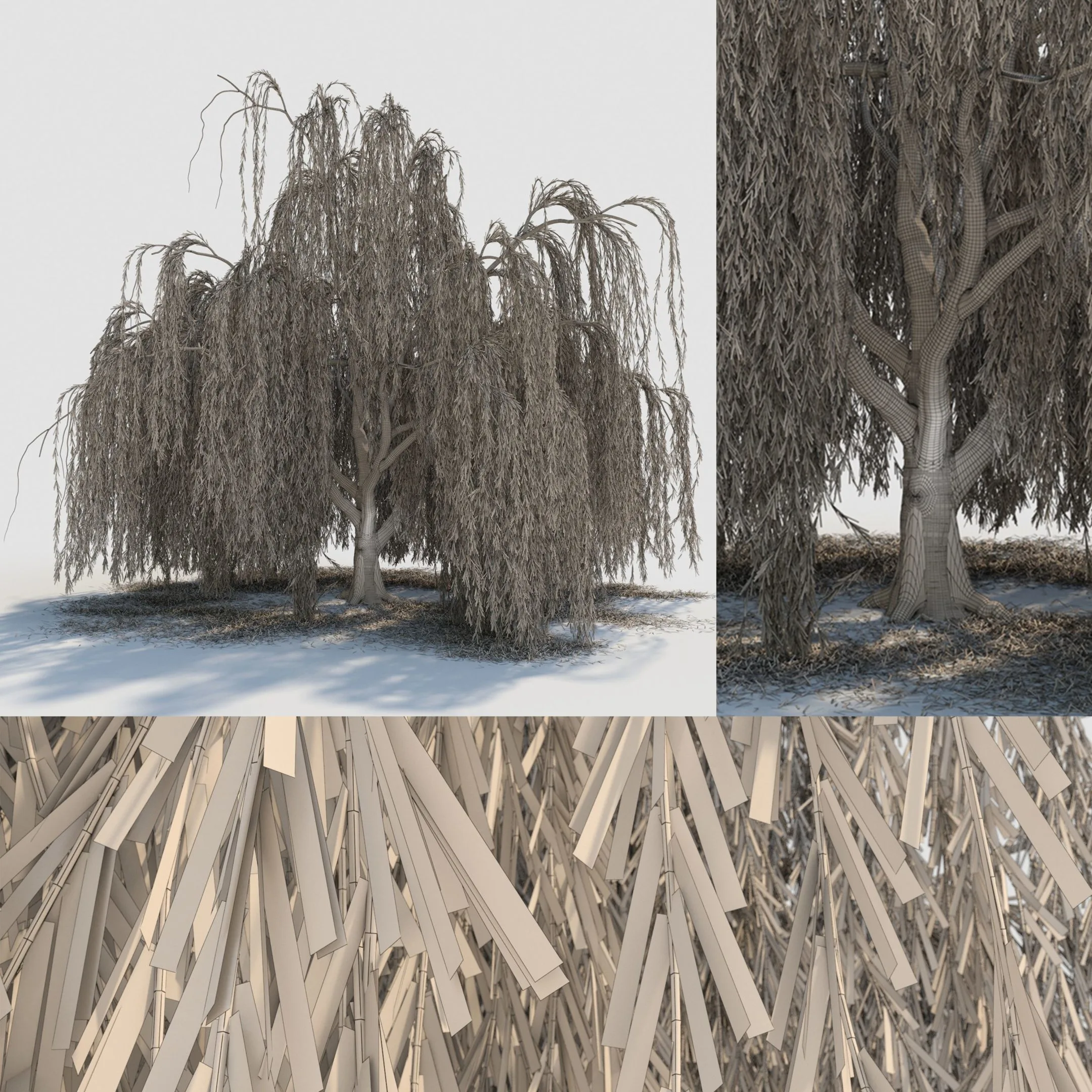 weeping willow tree