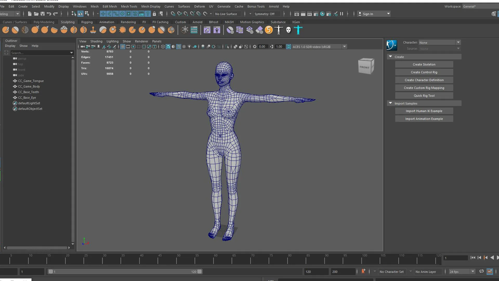 Female base mesh