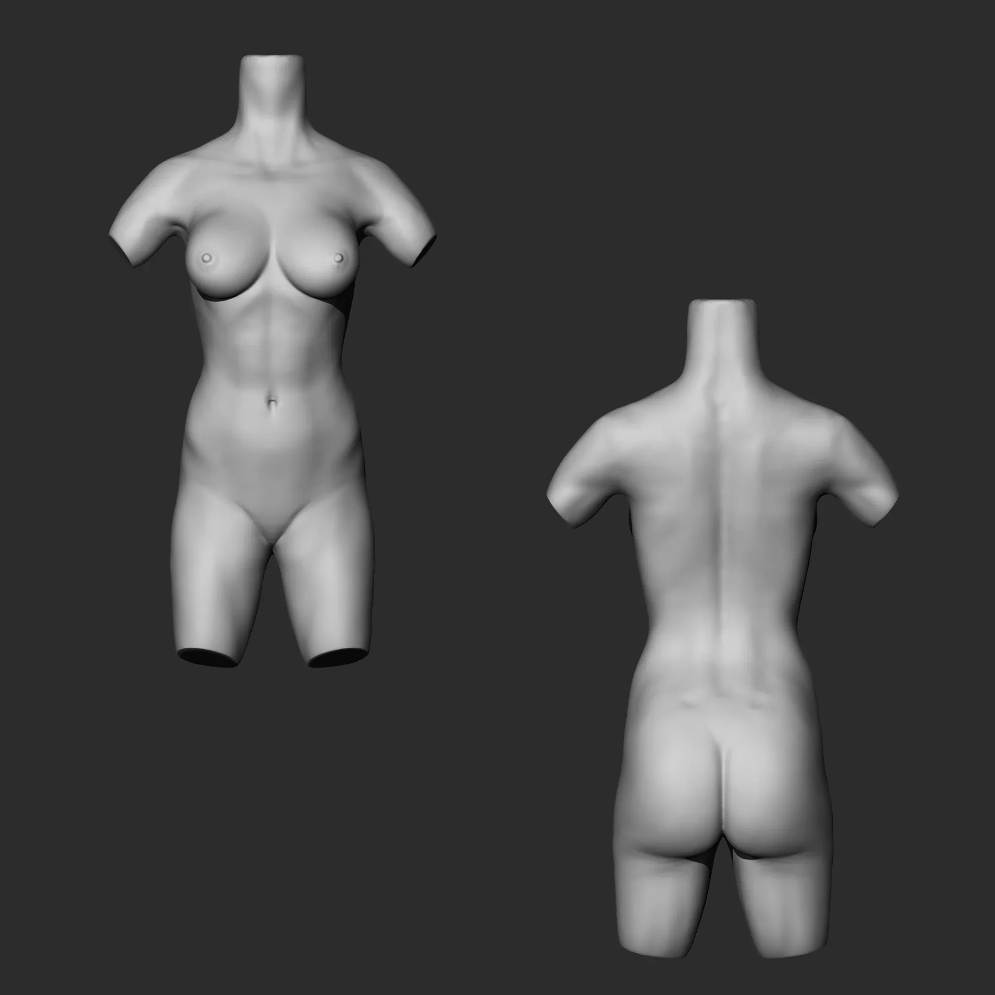 Female Torso IMM Brush Pack (5 in One)