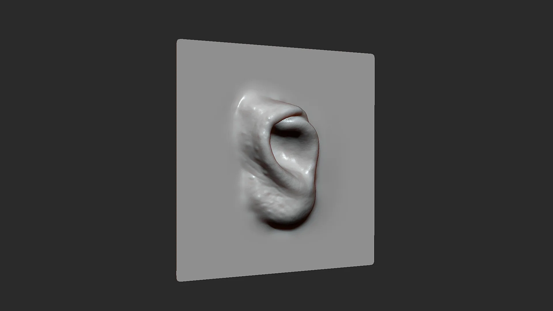 Horse ZBrush VDM Brush