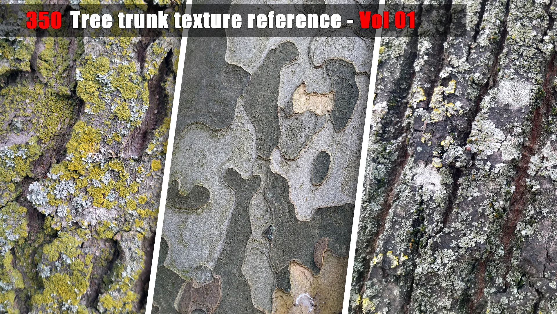 Tree trunk texture reference - Vol 01