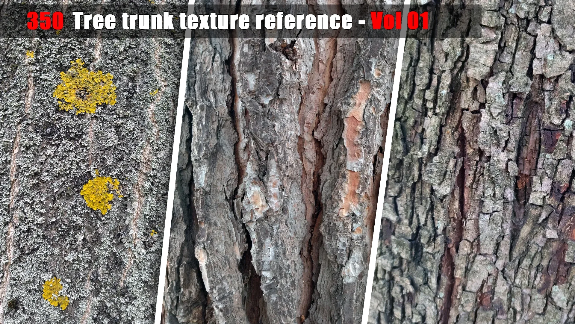 Tree trunk texture reference - Vol 01