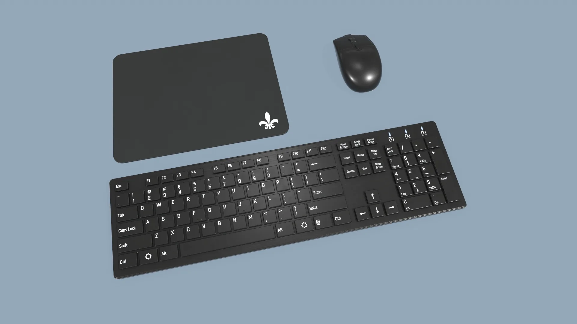 Computer Mouse and Keyboard