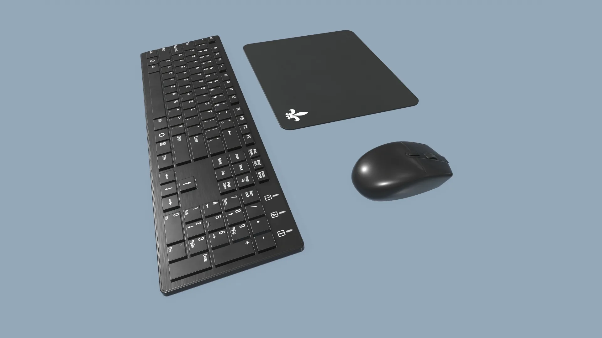 Computer Mouse and Keyboard