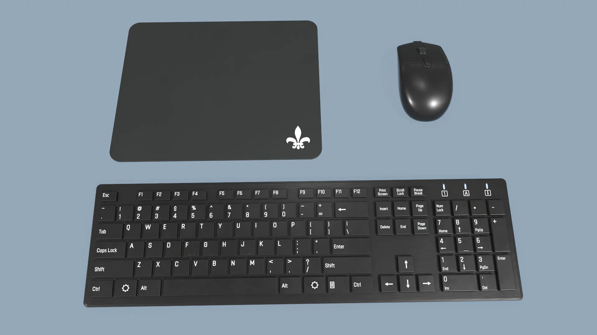 Computer Mouse and Keyboard