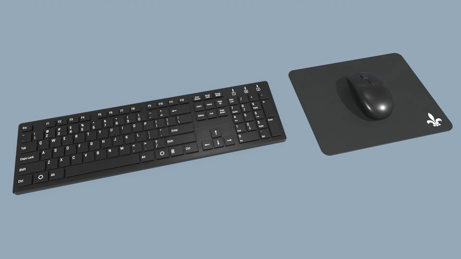 Computer Mouse and Keyboard