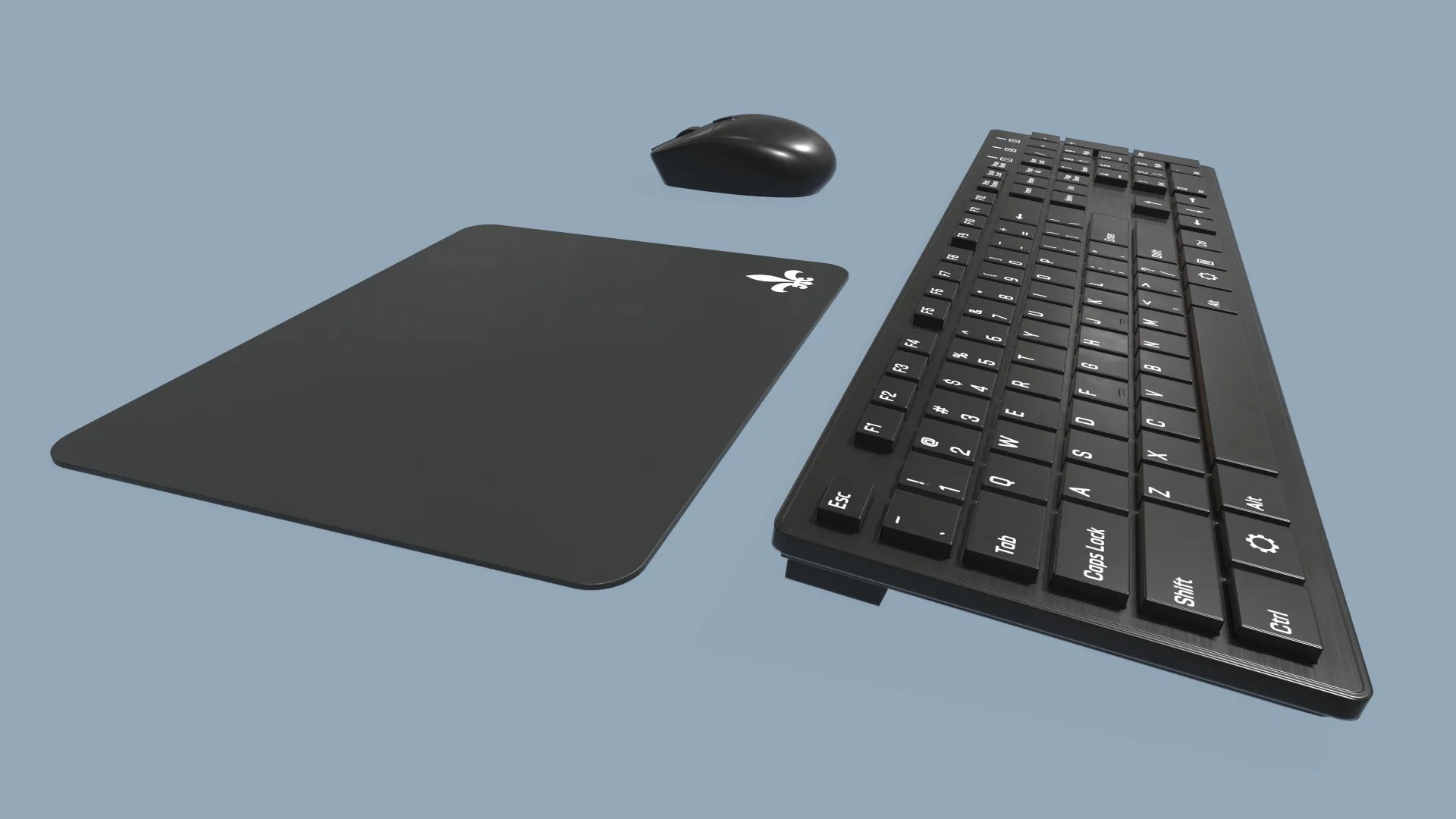 Computer Mouse and Keyboard