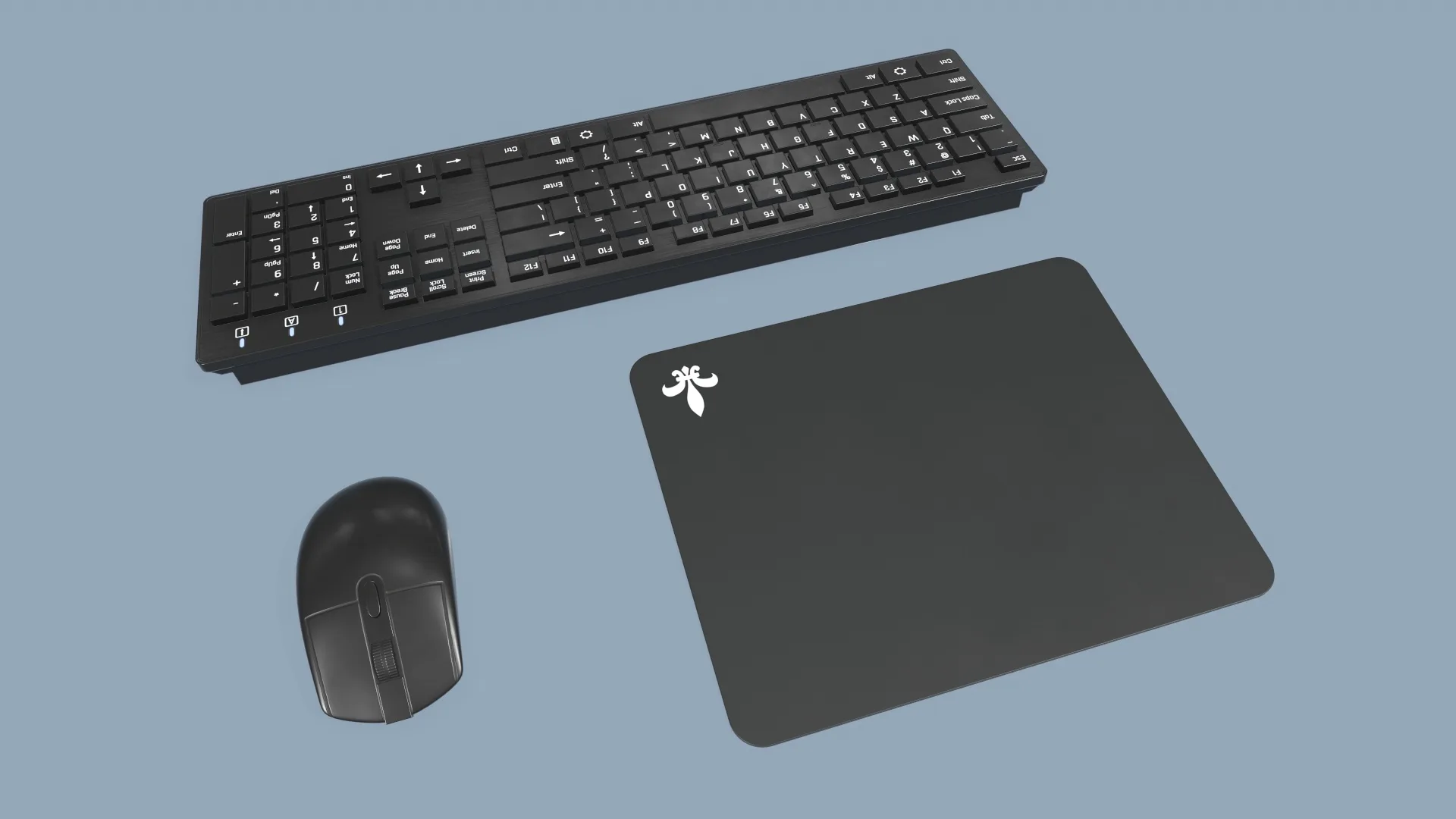 Computer Mouse and Keyboard