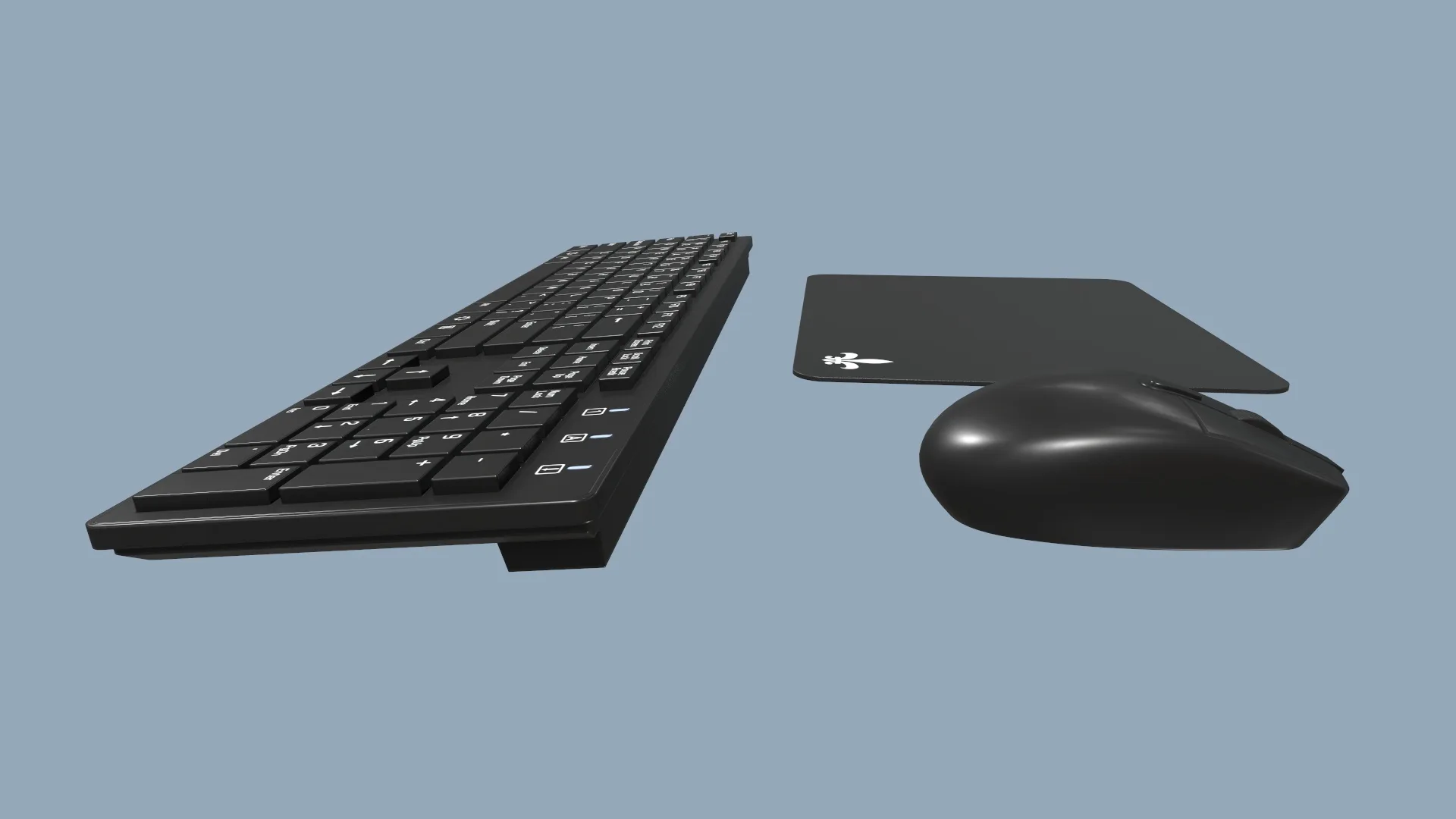 Computer Mouse and Keyboard