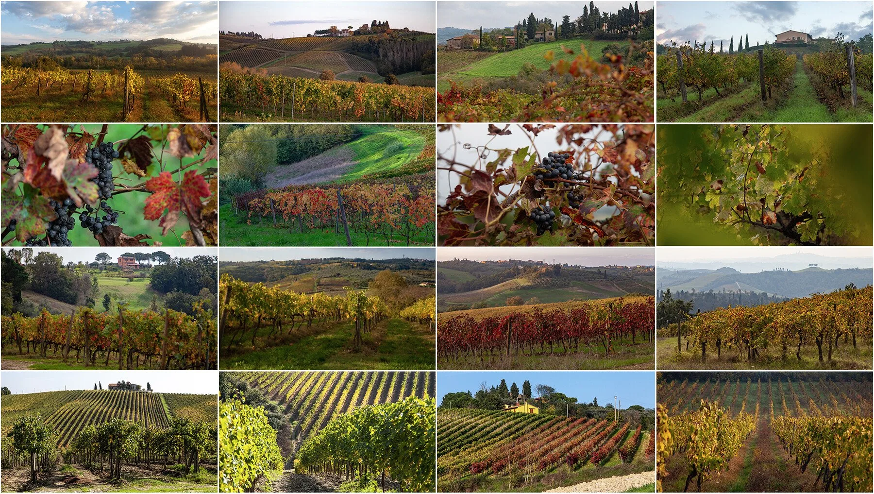 640+ Tuscan Sights Reference Pictures