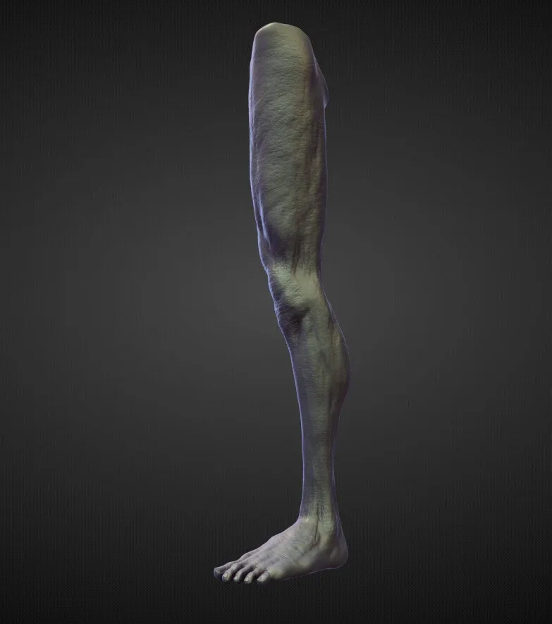 45 LEGS high poly sculpts pack