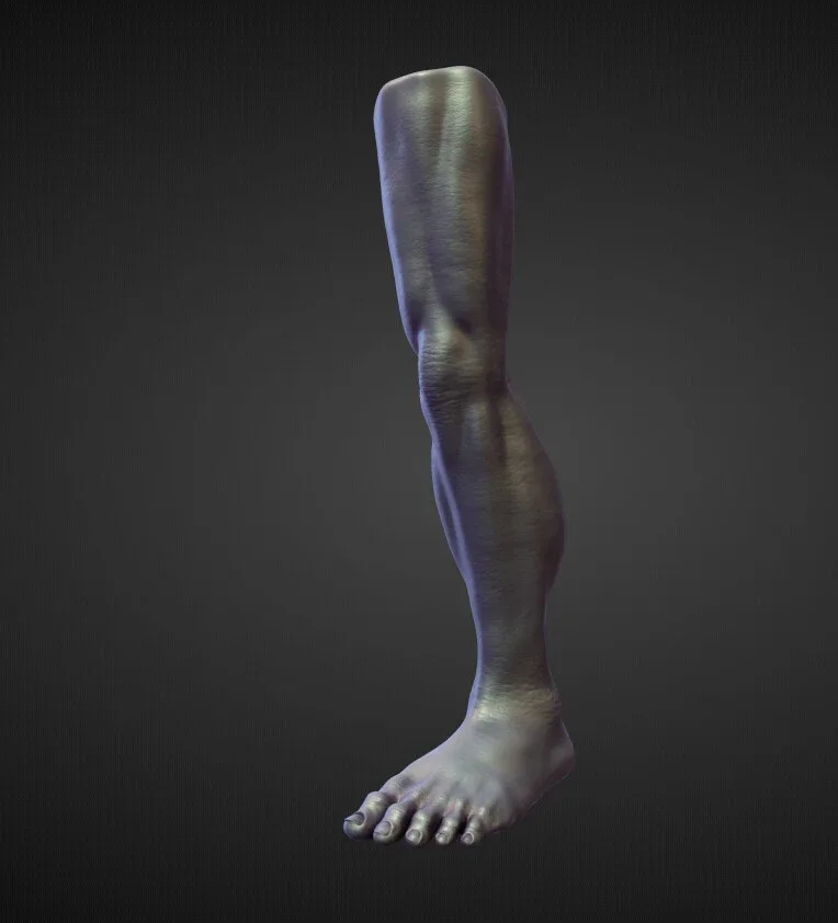 45 LEGS high poly sculpts pack