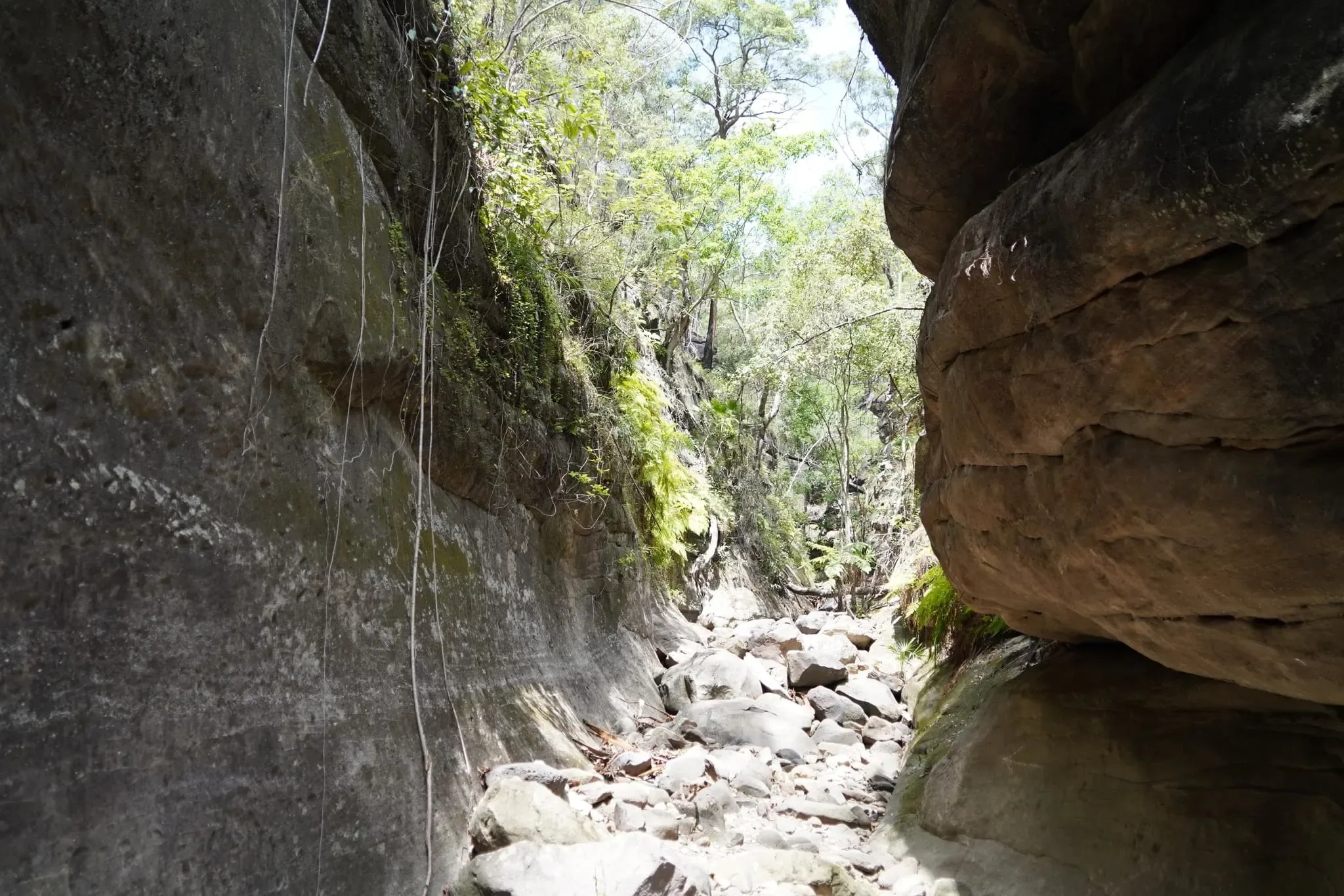 319 photos of Overgrowing Bulging Narrow Canyon