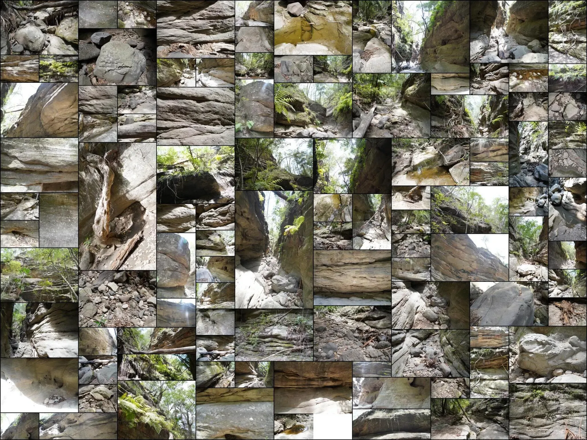 319 photos of Overgrowing Bulging Narrow Canyon