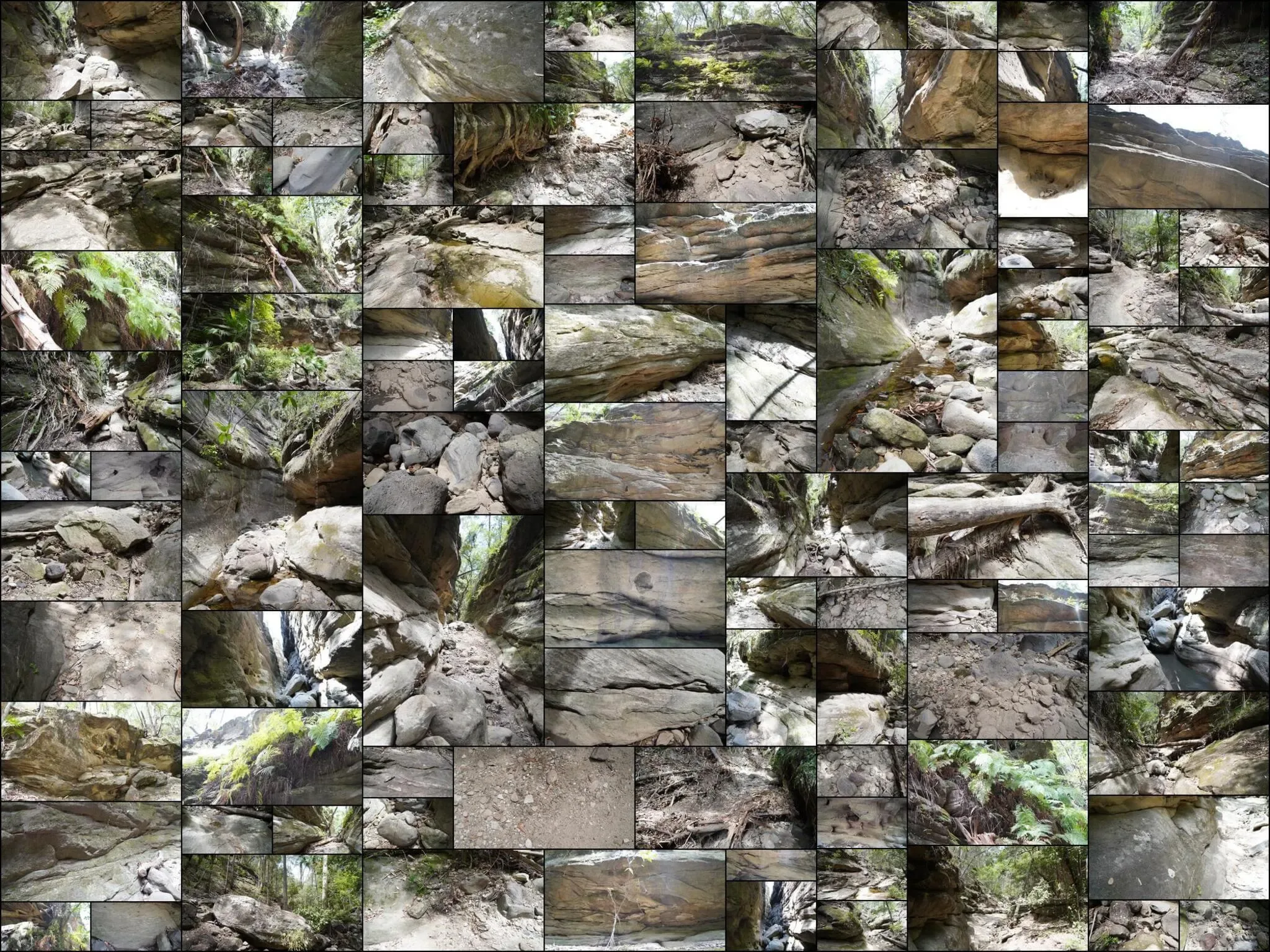 319 photos of Overgrowing Bulging Narrow Canyon