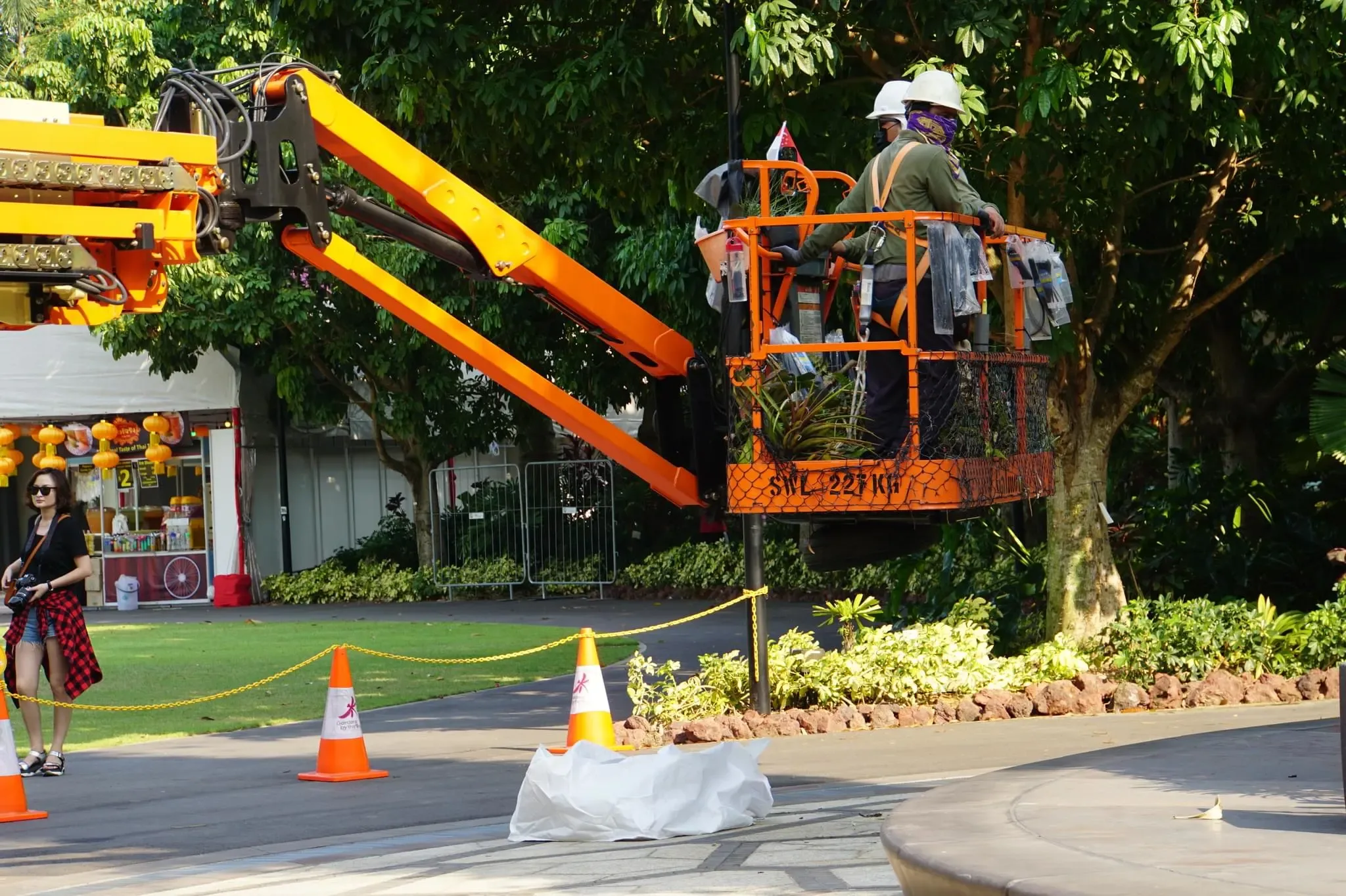 76 photos of Vehicle Crane With Boom