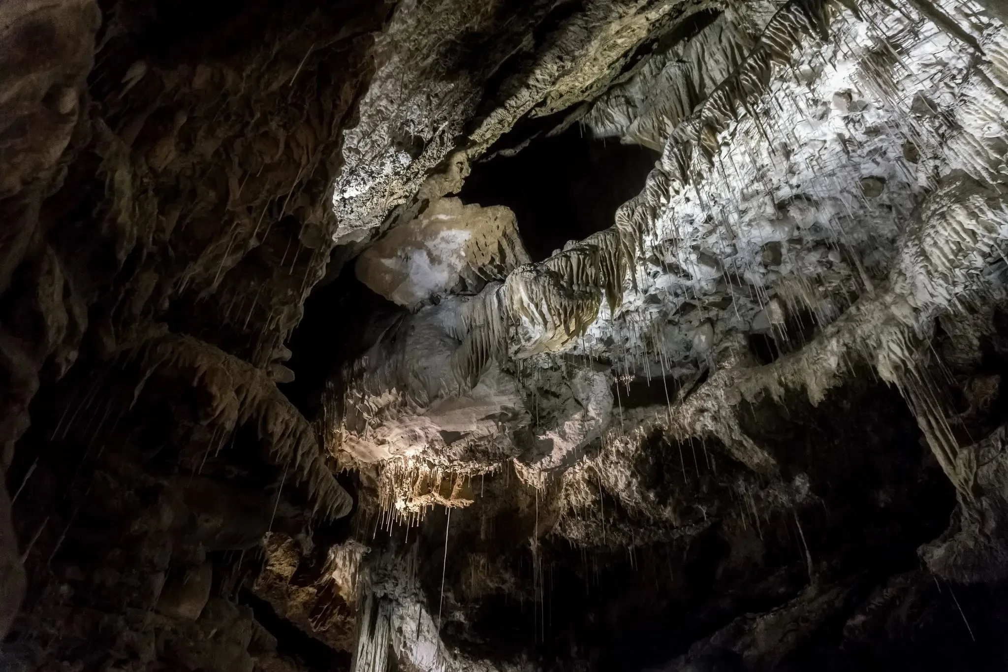 89 photos of Mole Creek Limestone Cave