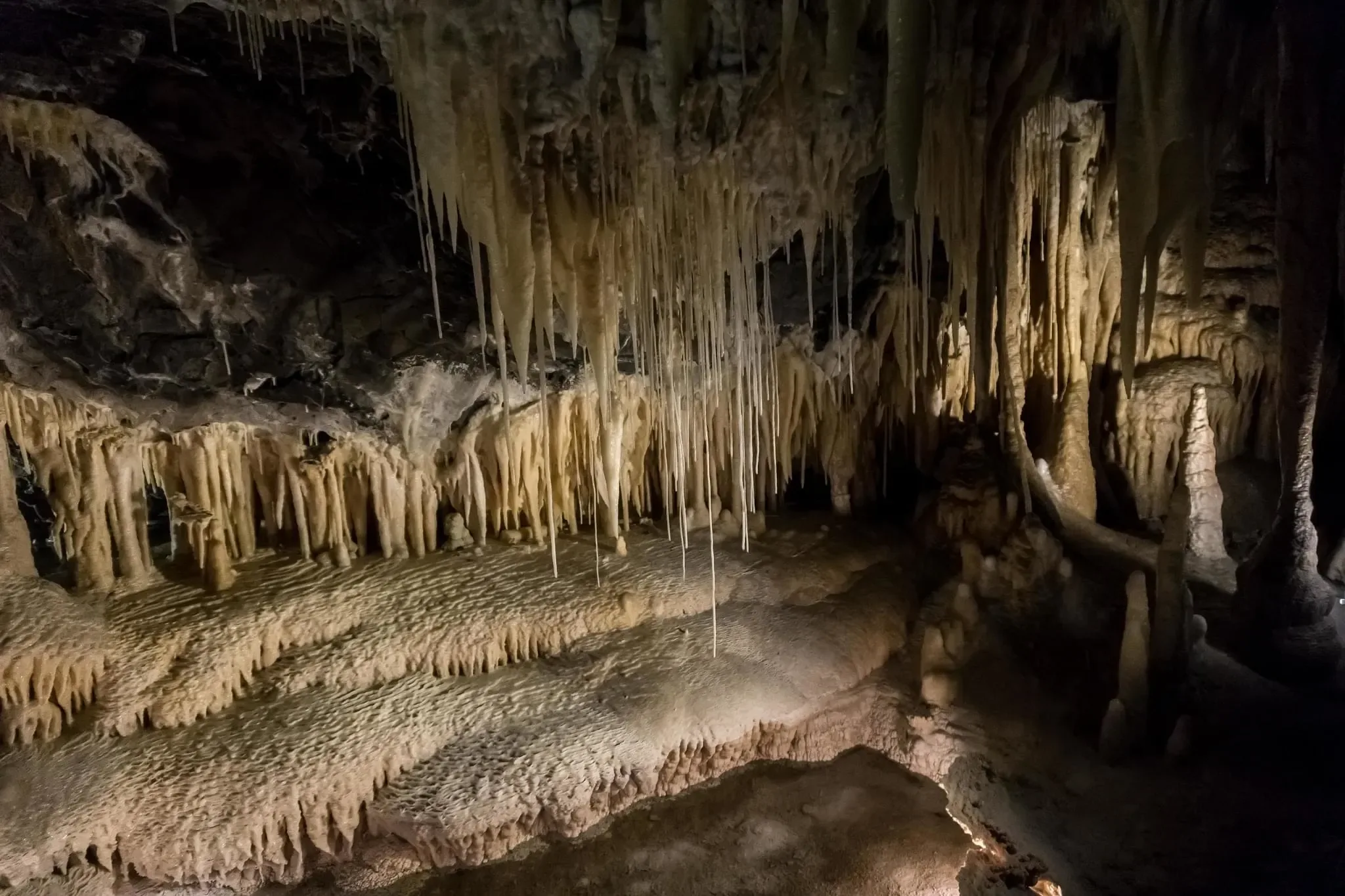 89 photos of Mole Creek Limestone Cave