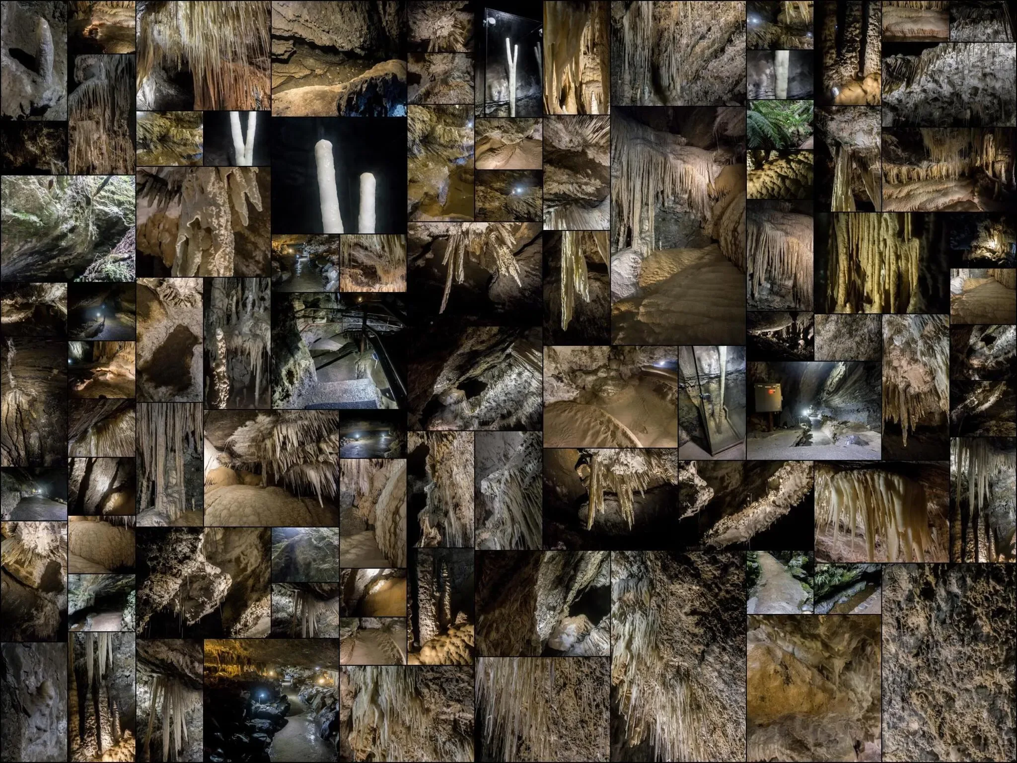 89 photos of Mole Creek Limestone Cave