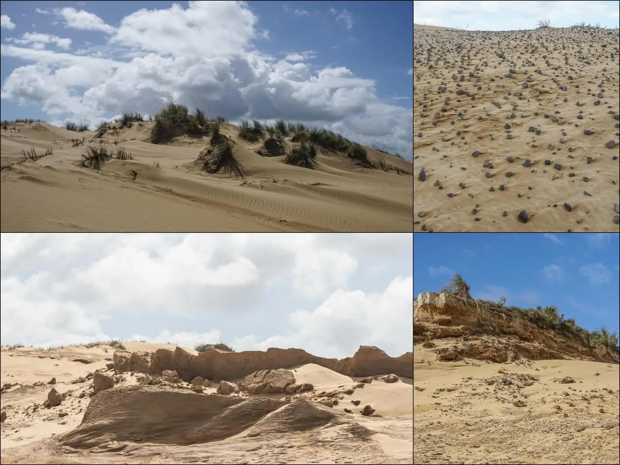 215 photos of Sand Canyons and Dune Formations