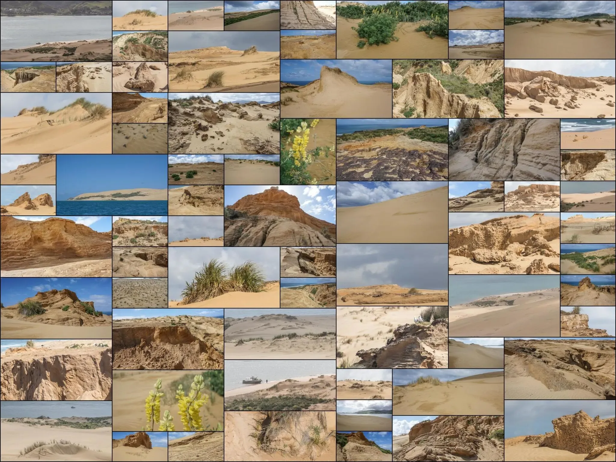 215 photos of Sand Canyons and Dune Formations