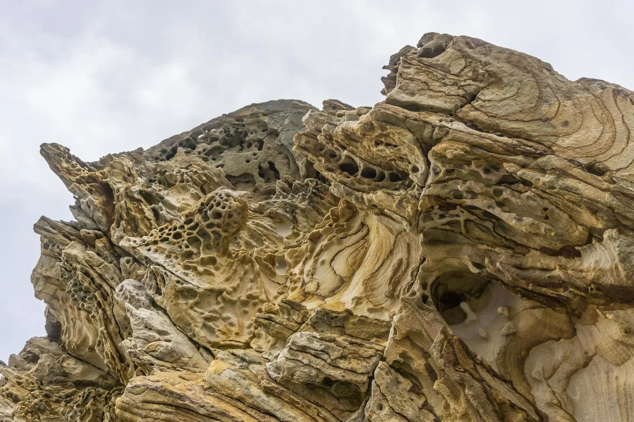 621 photos of Tasmanian Painted Cliffs