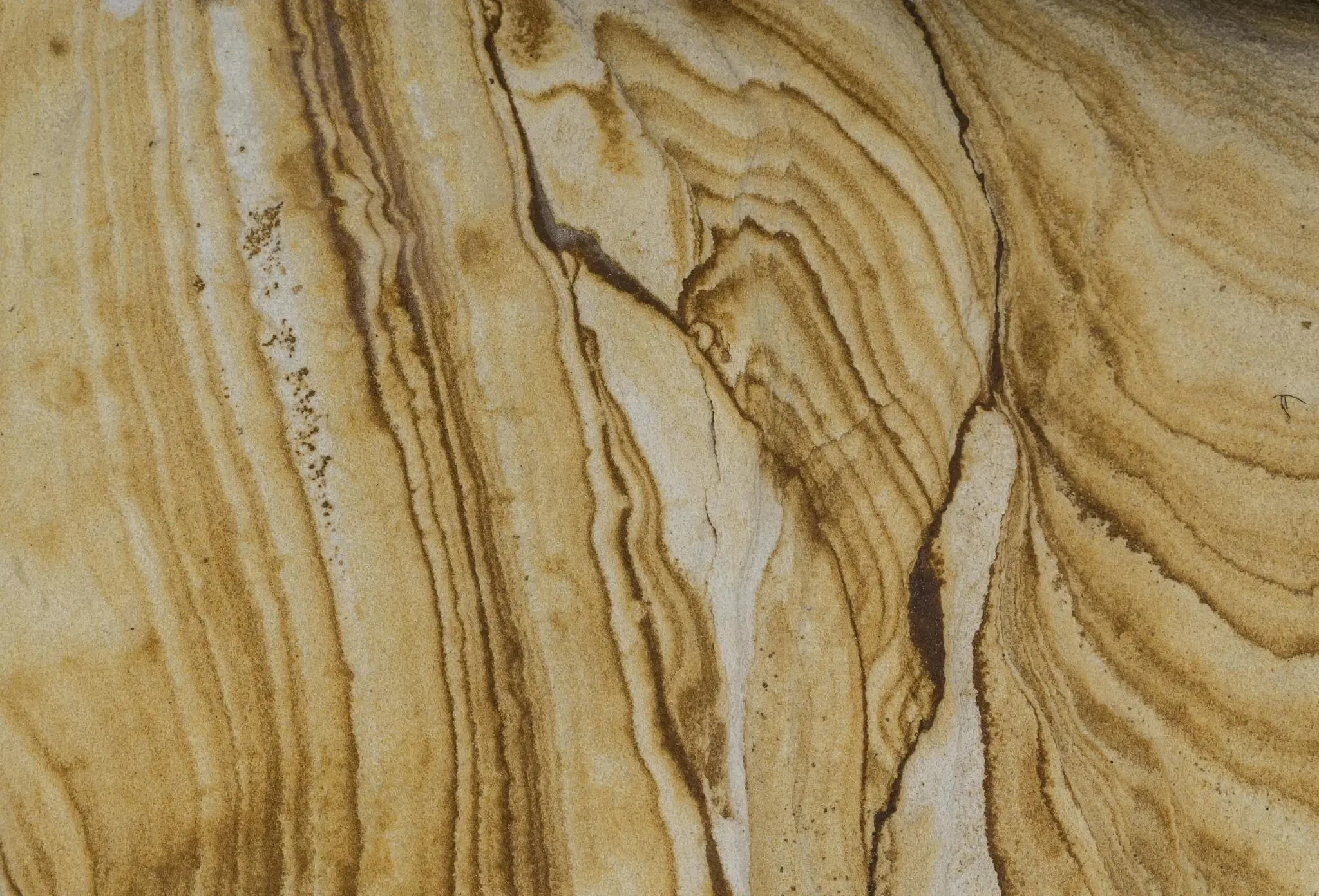 621 photos of Tasmanian Painted Cliffs