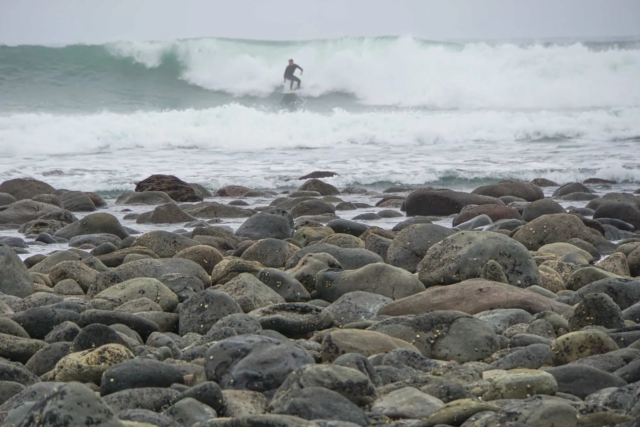 202 photos of Large Pebbles Beach