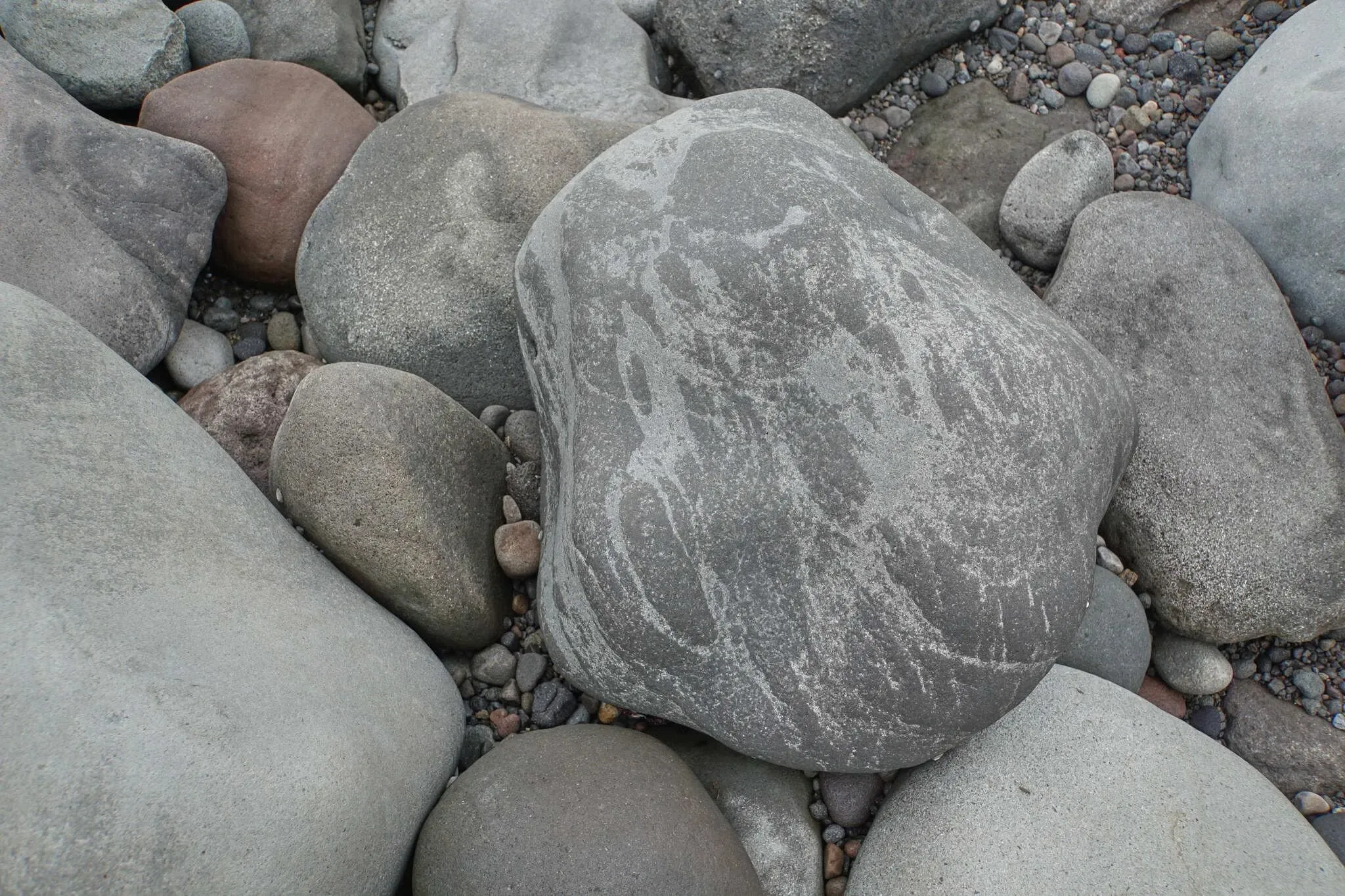 202 photos of Large Pebbles Beach