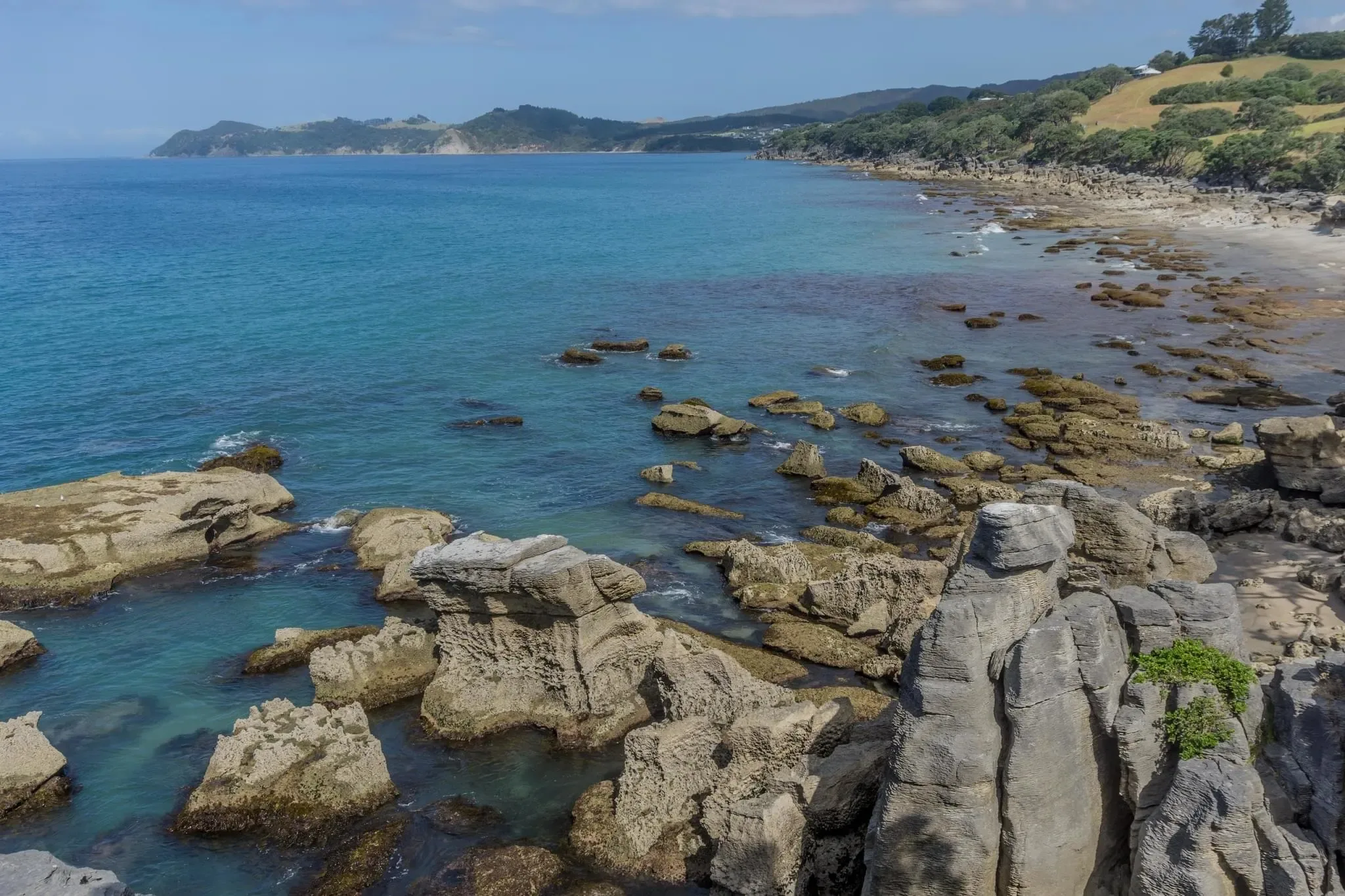 259 photos of Waipu Layered Rocks