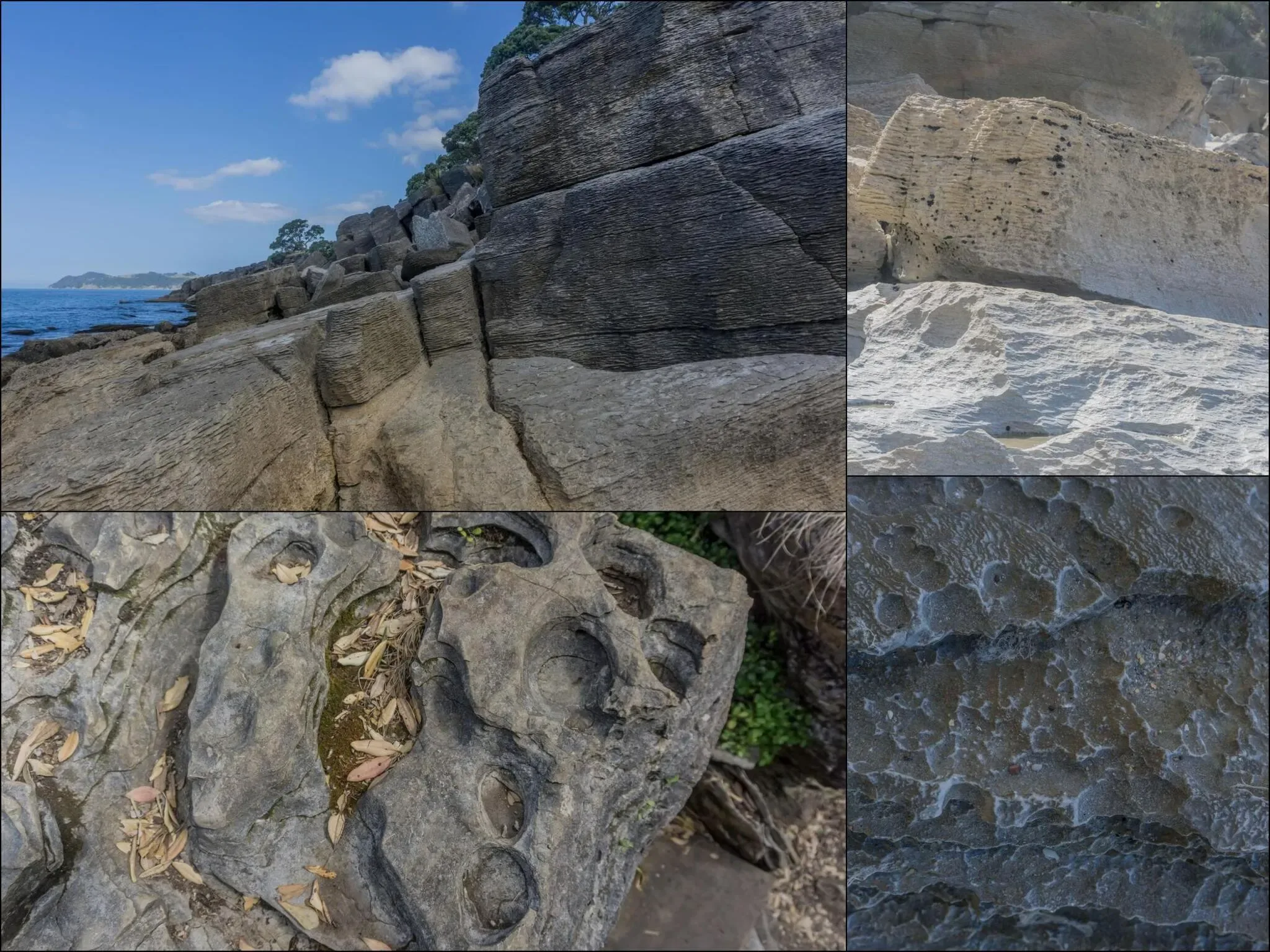 259 photos of Waipu Layered Rocks