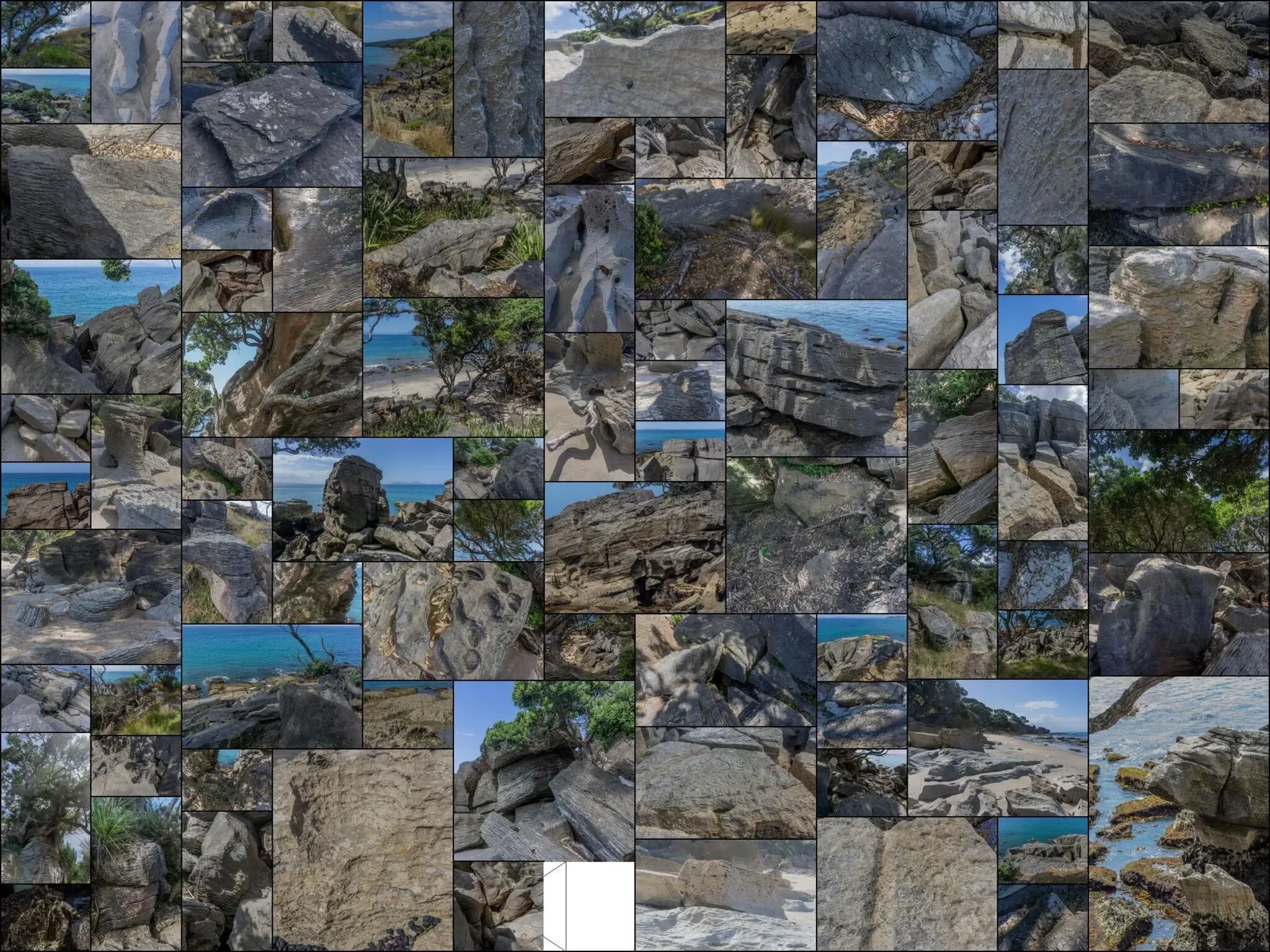 259 photos of Waipu Layered Rocks