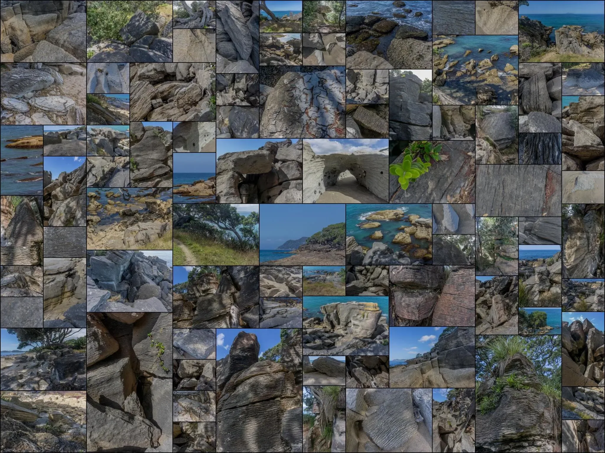 259 photos of Waipu Layered Rocks