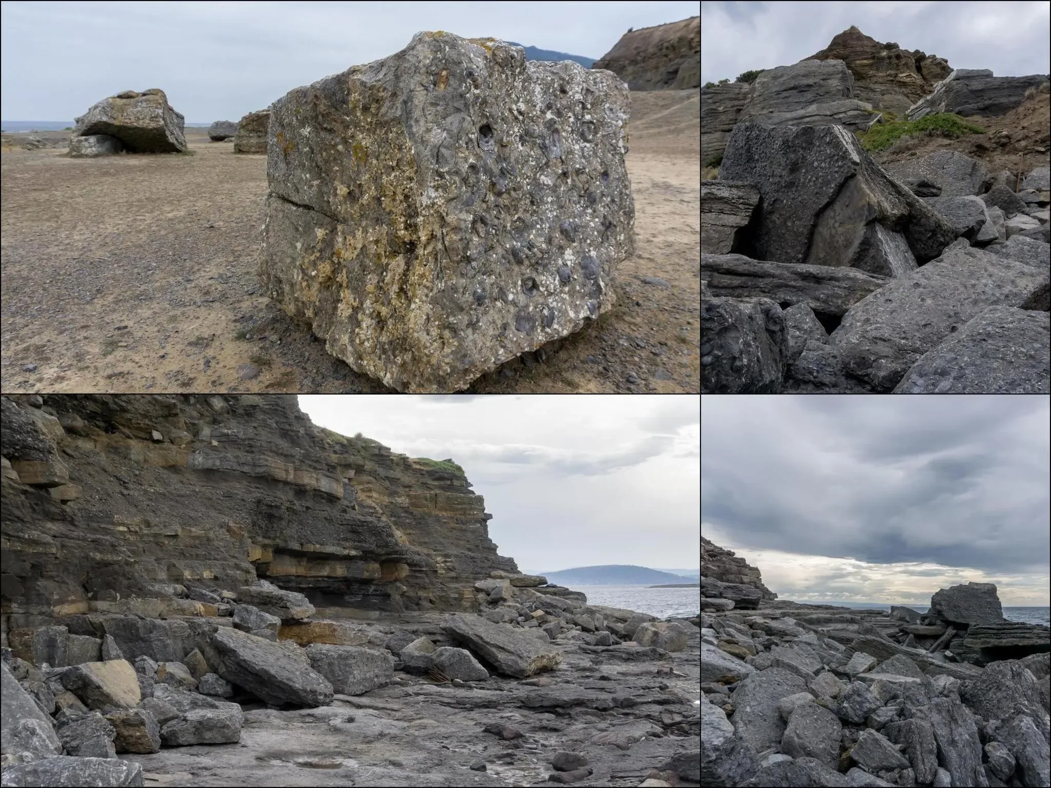 264 photos of Fossilized Shells Cliff Formation