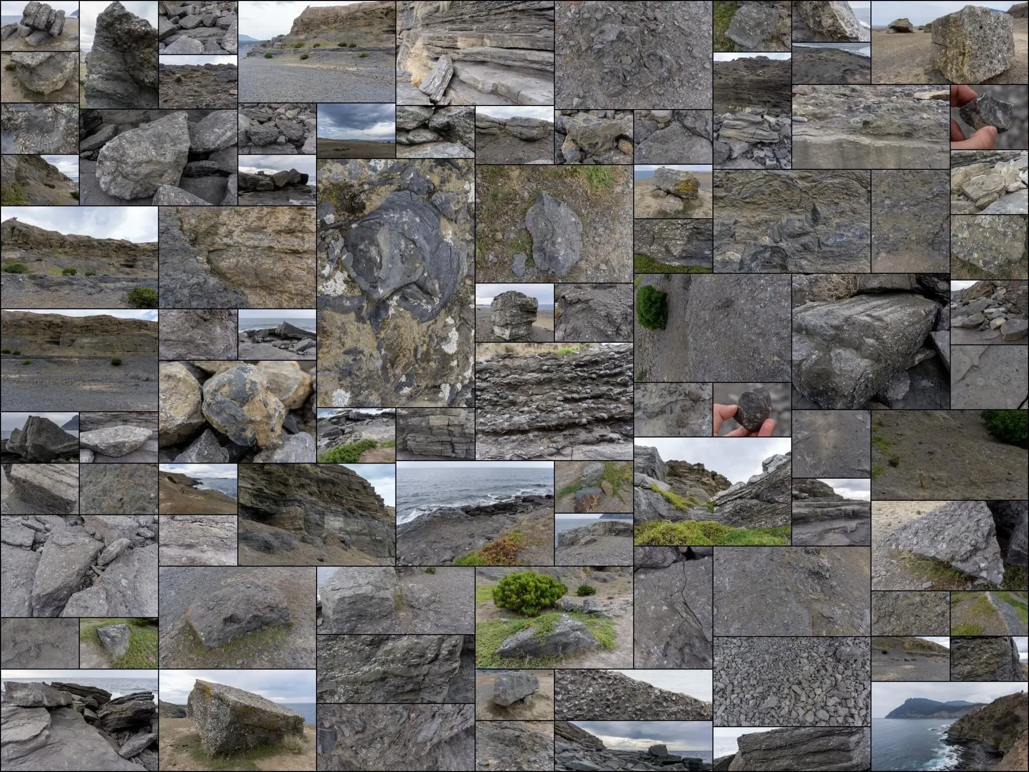 264 photos of Fossilized Shells Cliff Formation