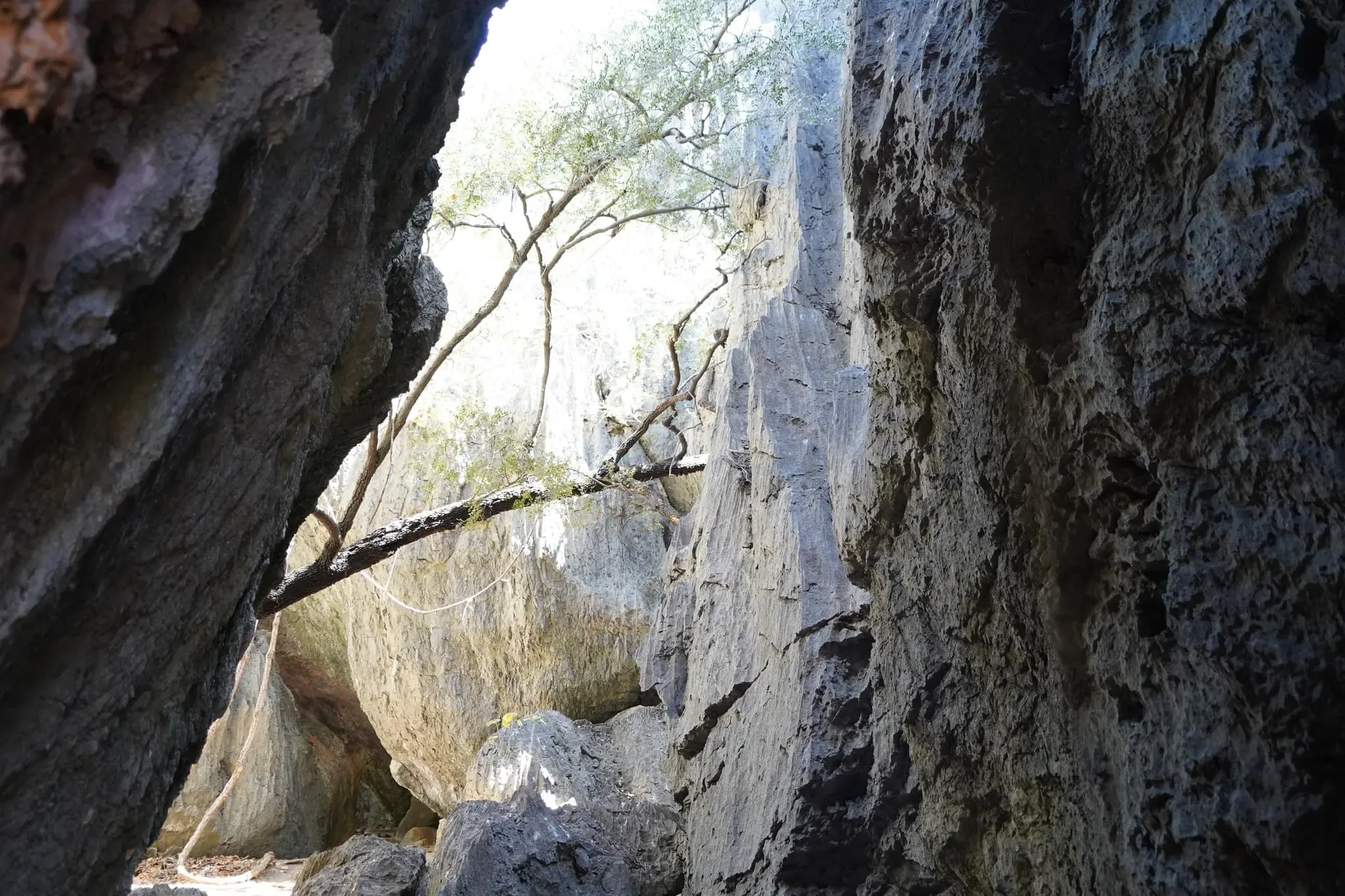 410 photos of Limestone Caverns and Passages
