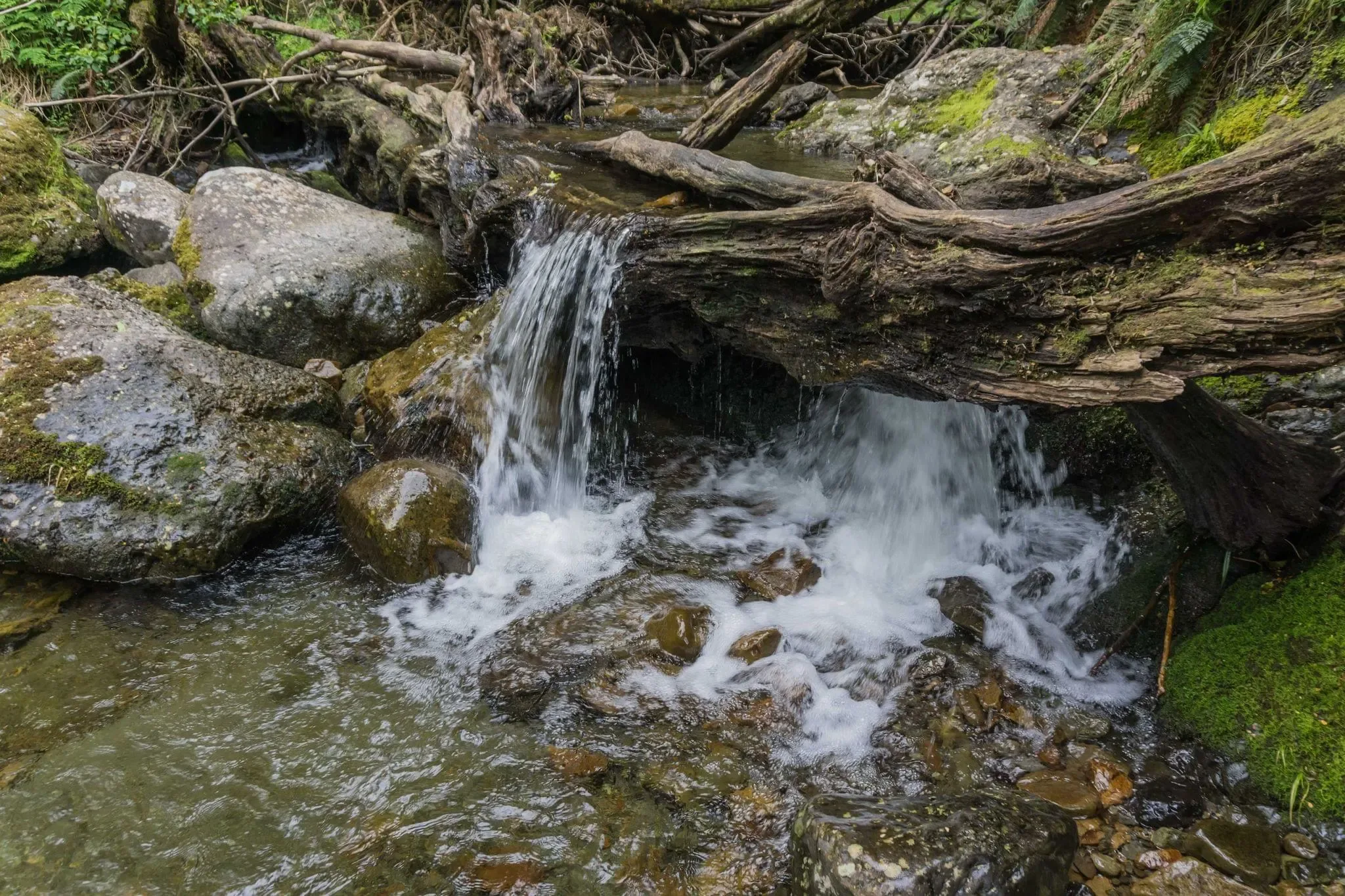 186 photos of Mountain Stream