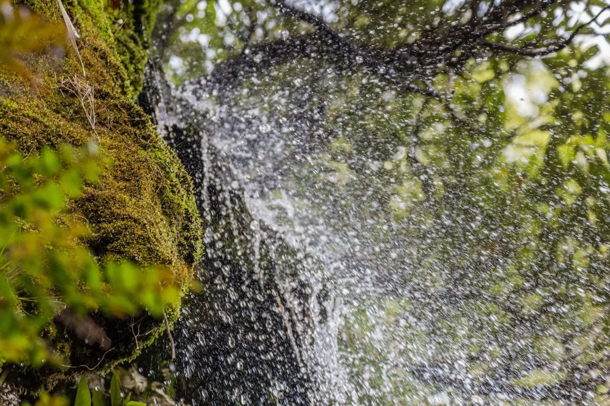 186 photos of Mountain Stream