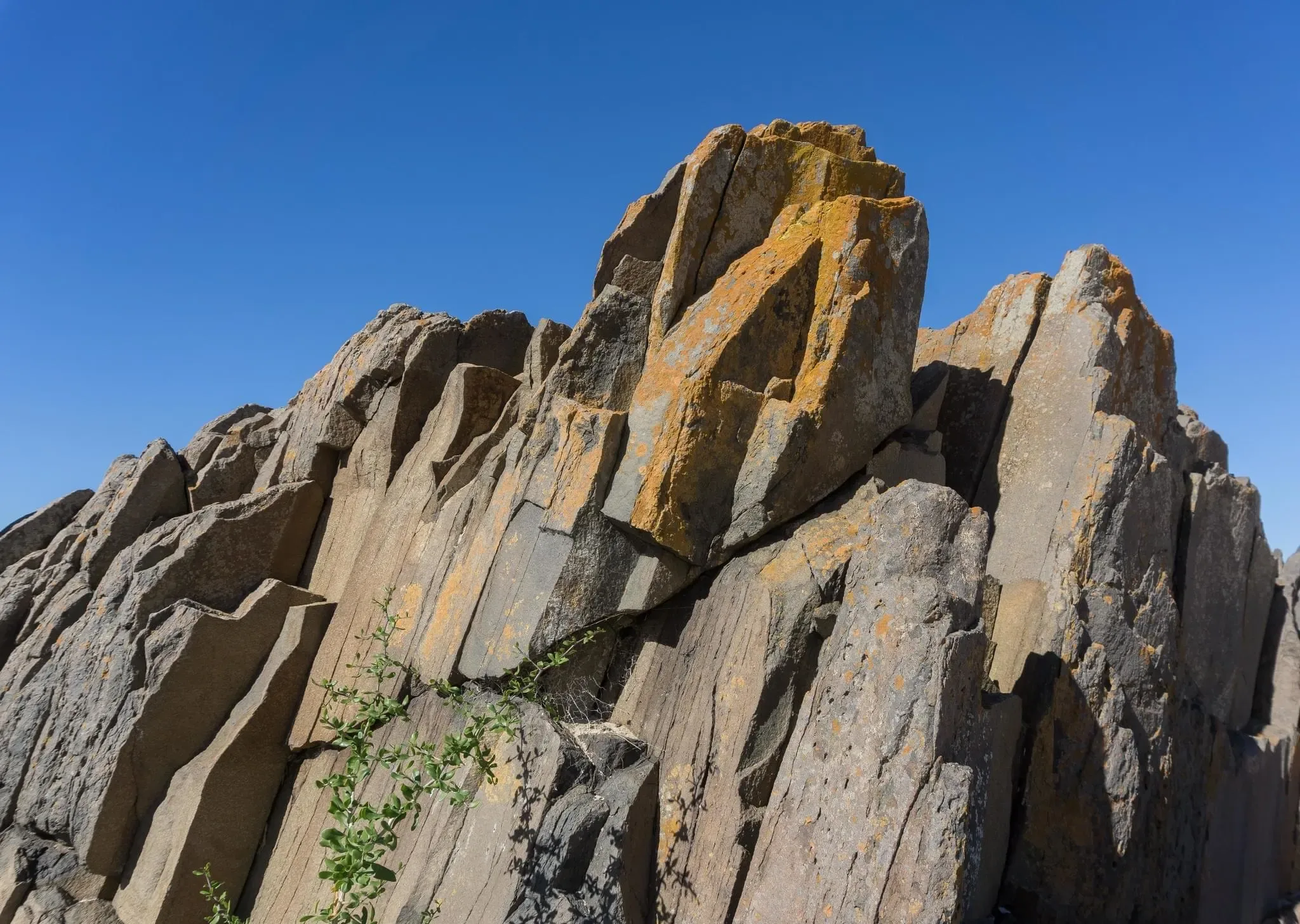 203 photos of Spiky Rocks Beach