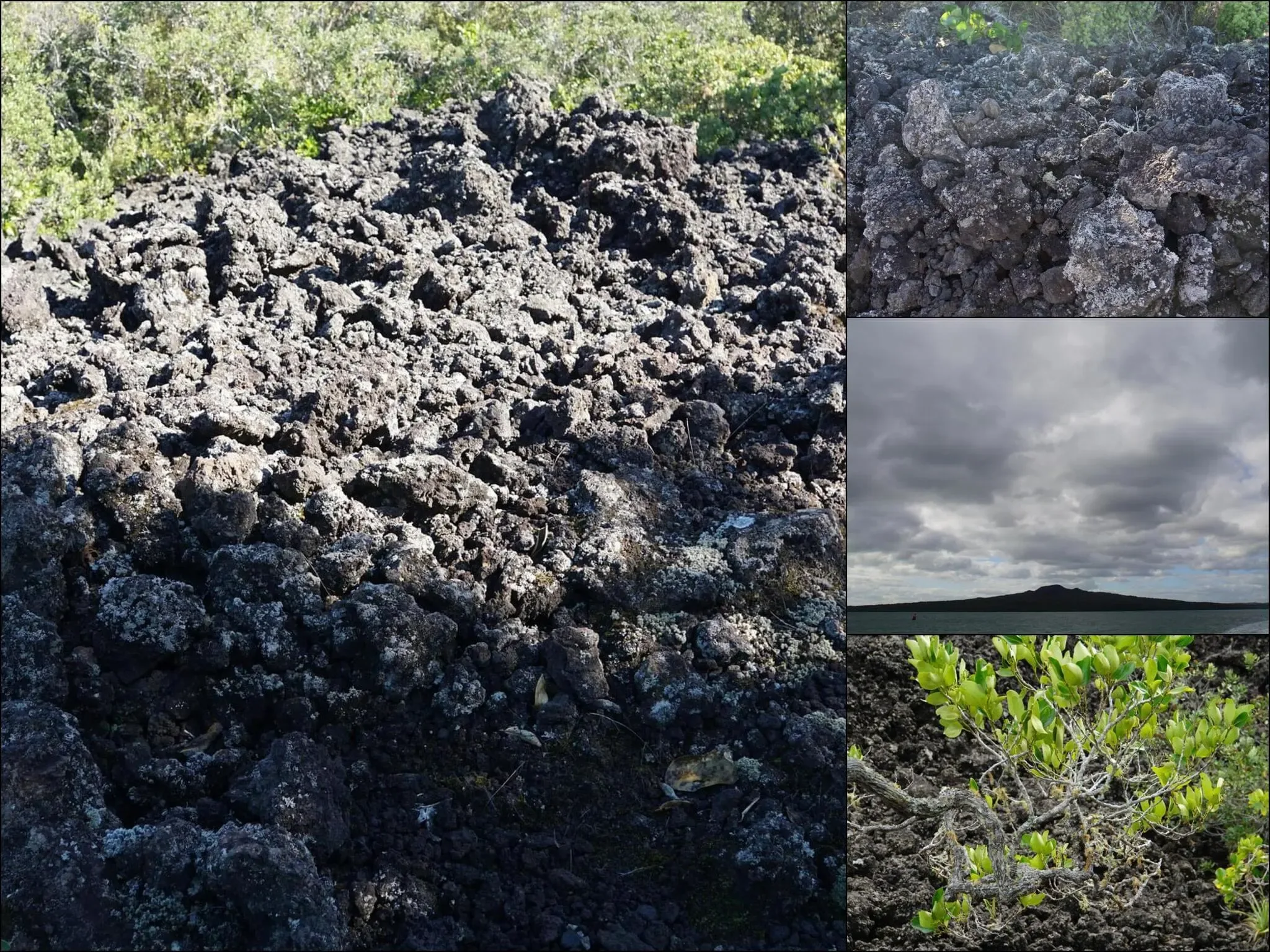 376 photos of Volcanic Island Lava Rock Fields