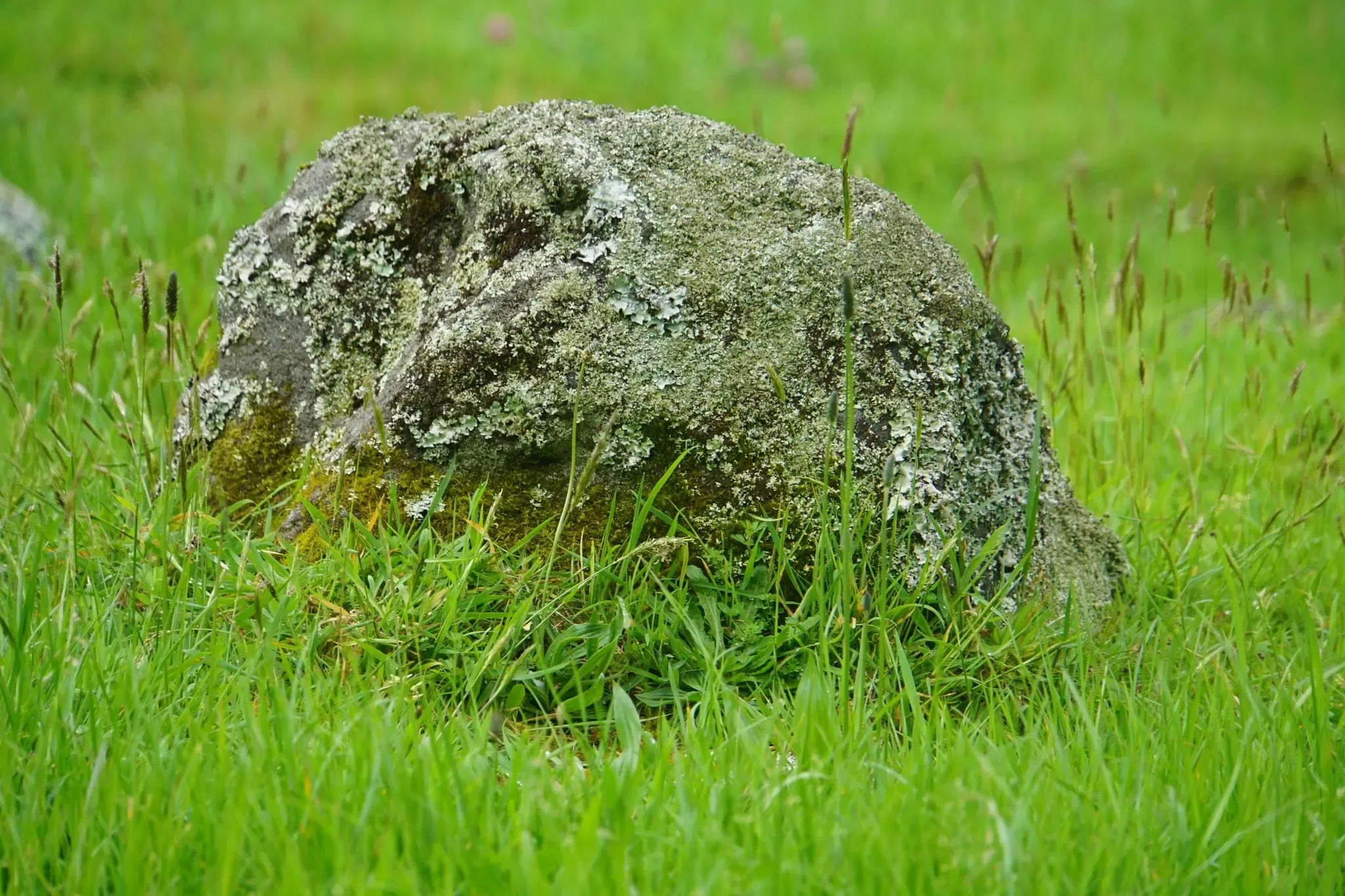 67 photos of Round Rock Grassy Field